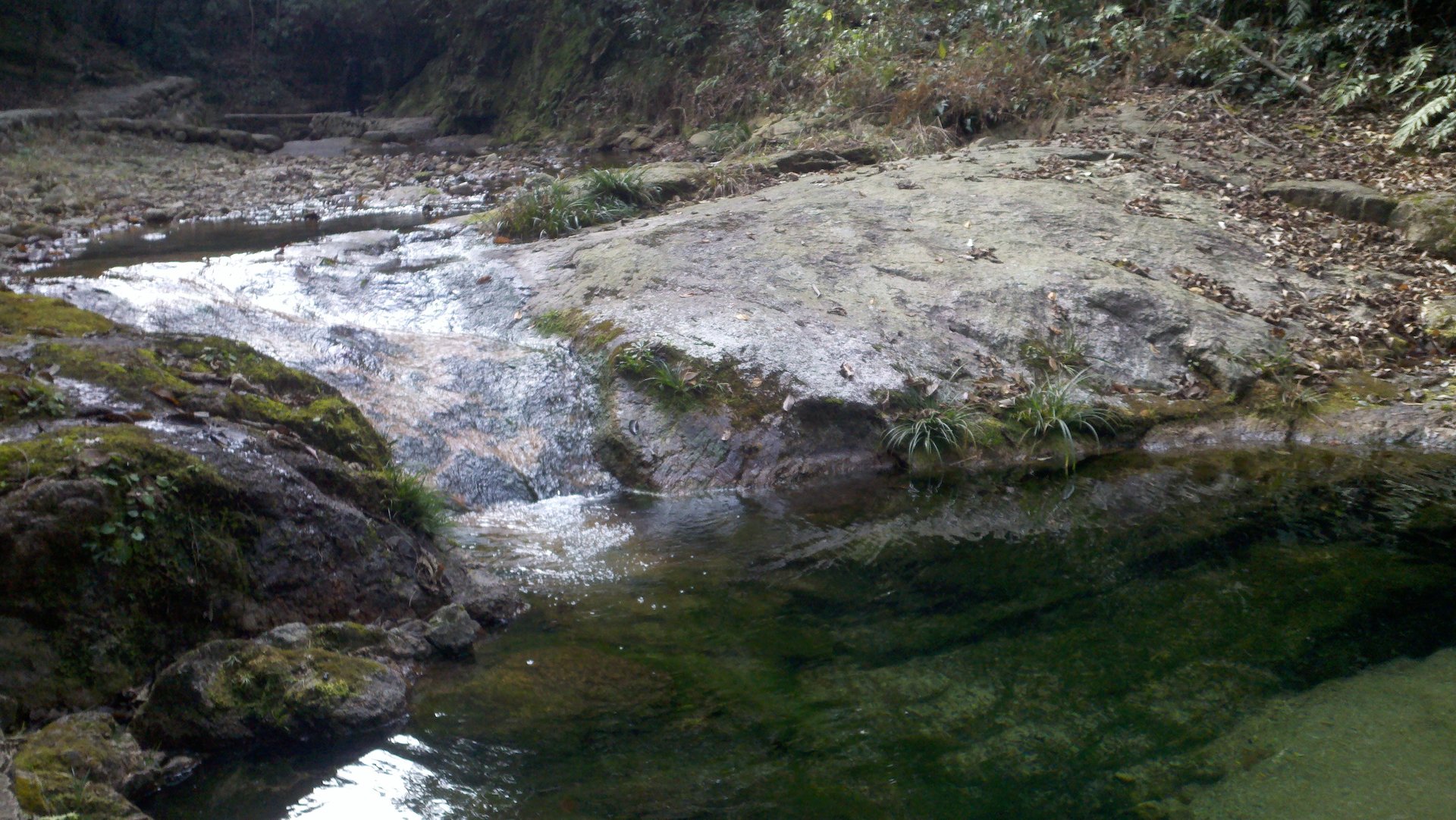 IMG_20111225_090000_009.jpg