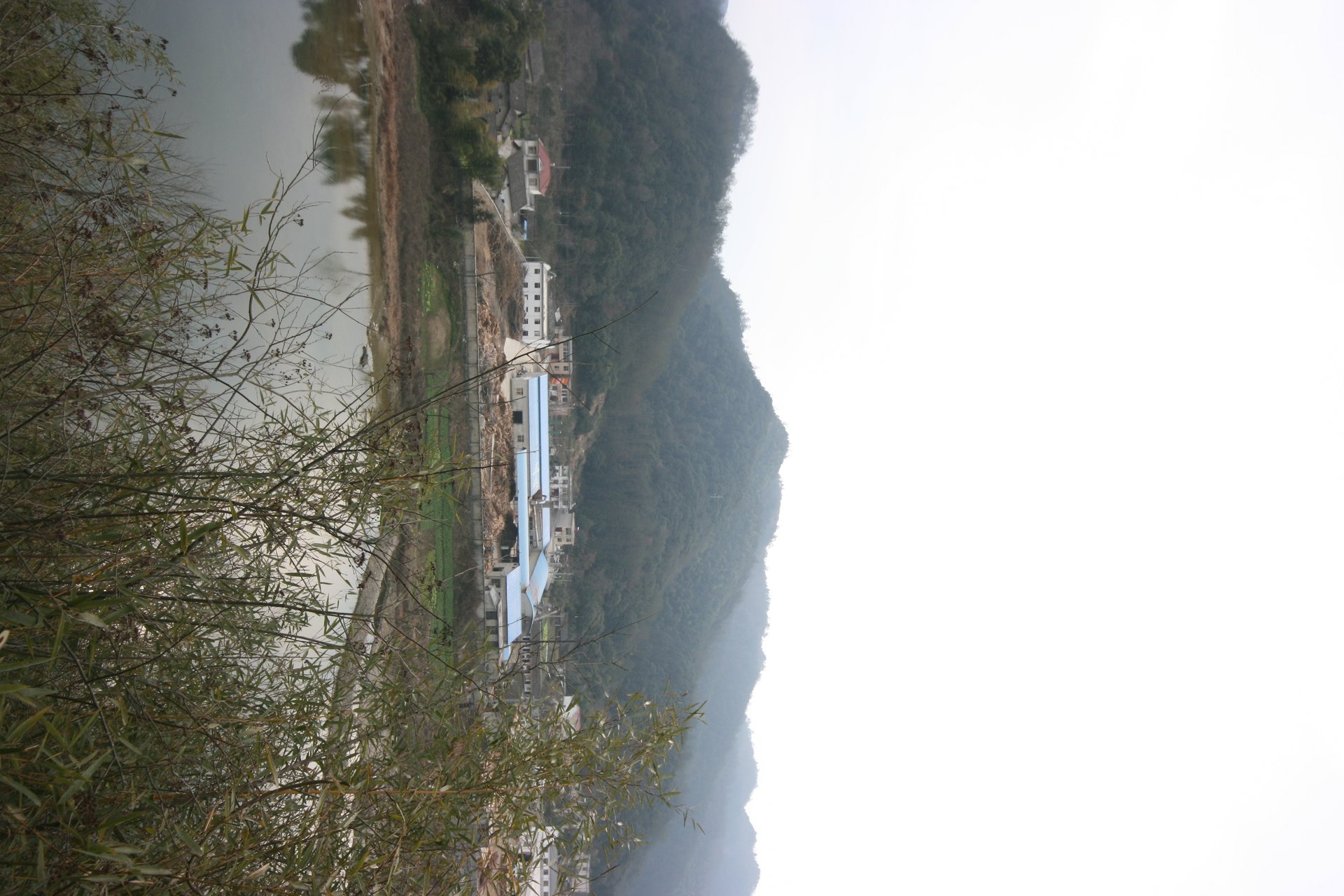 IMG_20120204_090000_001.jpg
