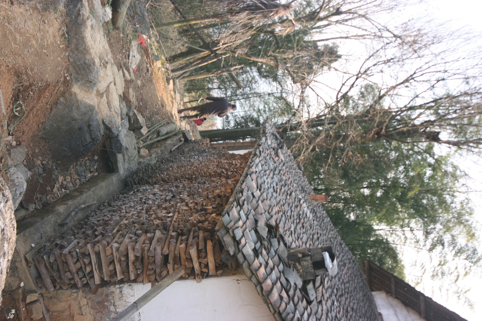 IMG_20120211_090000_041.jpg