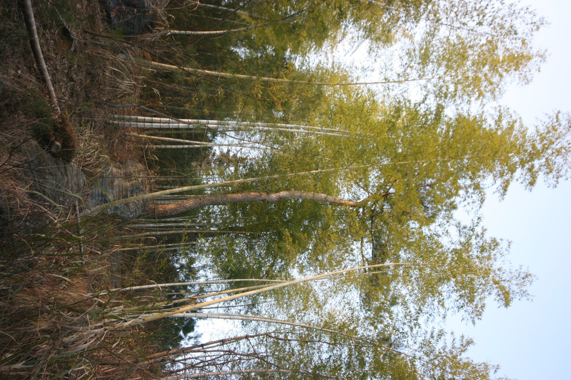 IMG_20120211_090000_076.jpg