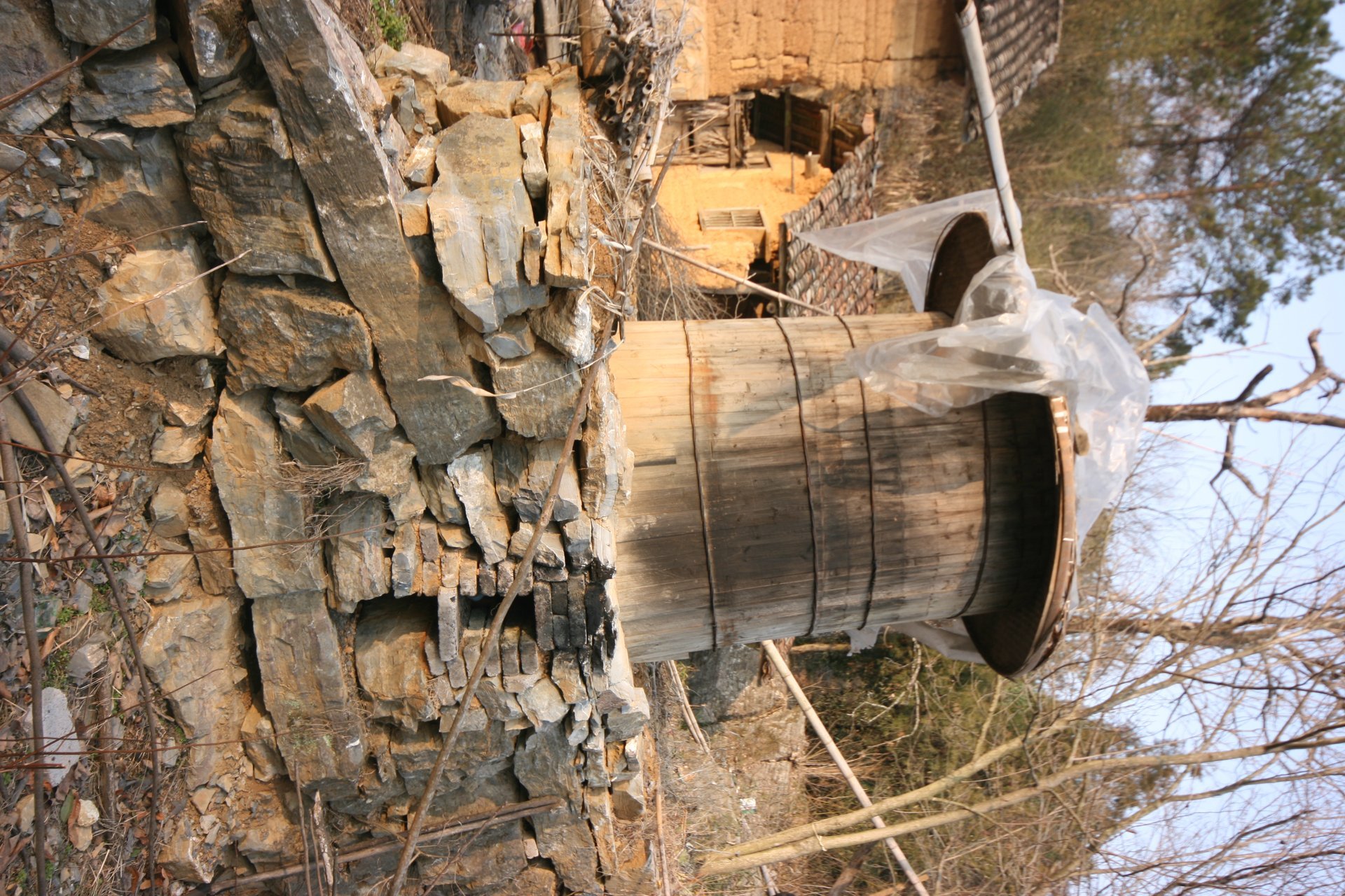 IMG_20120211_160240.jpg