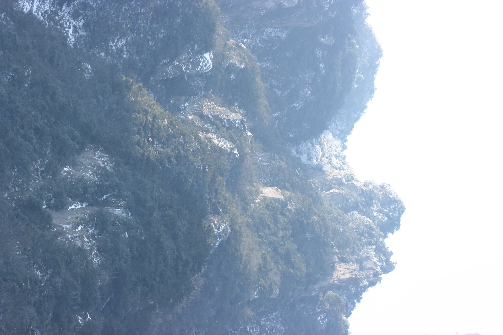 IMG_20120219_090000_014.jpg