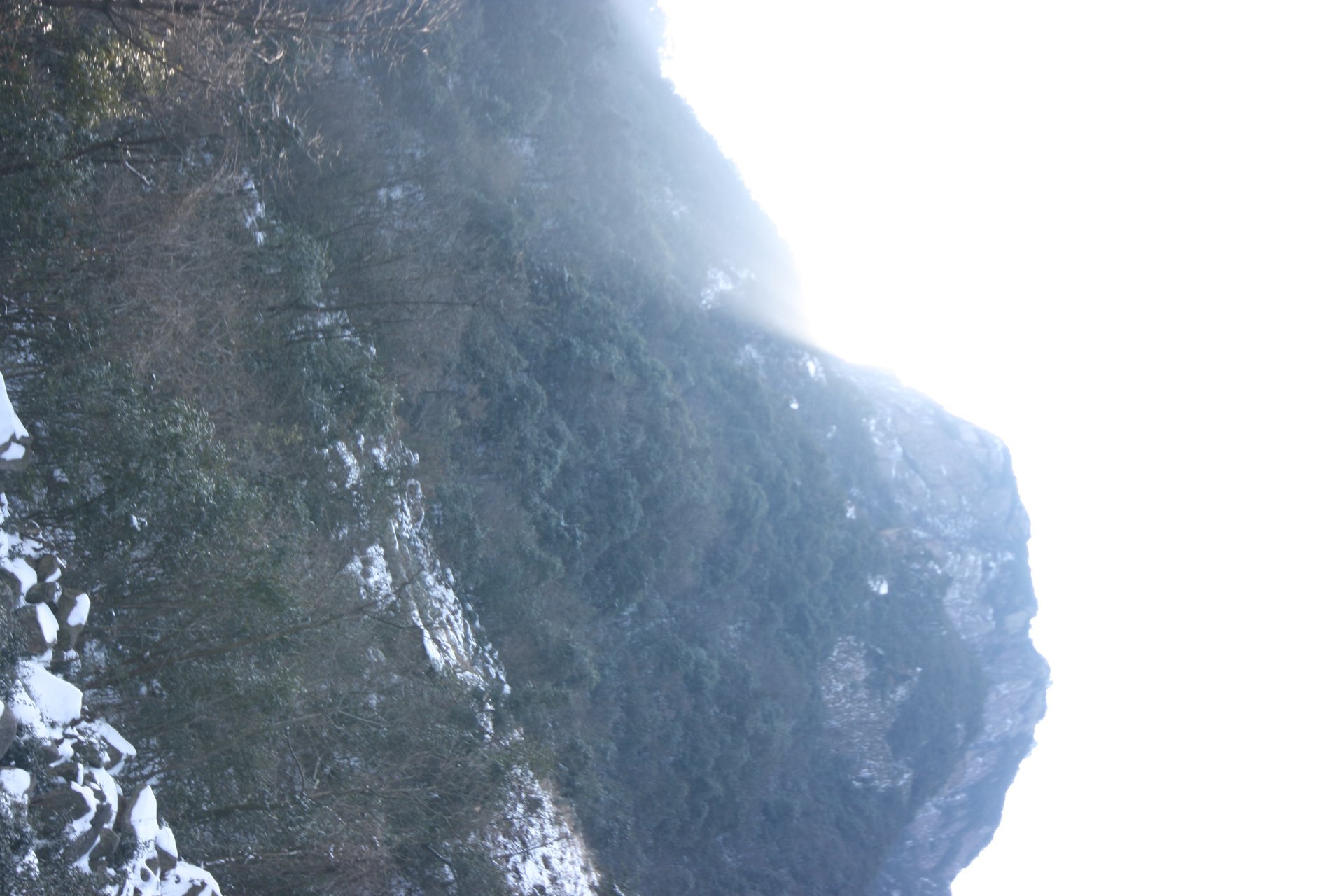 IMG_20120219_090000_015.jpg