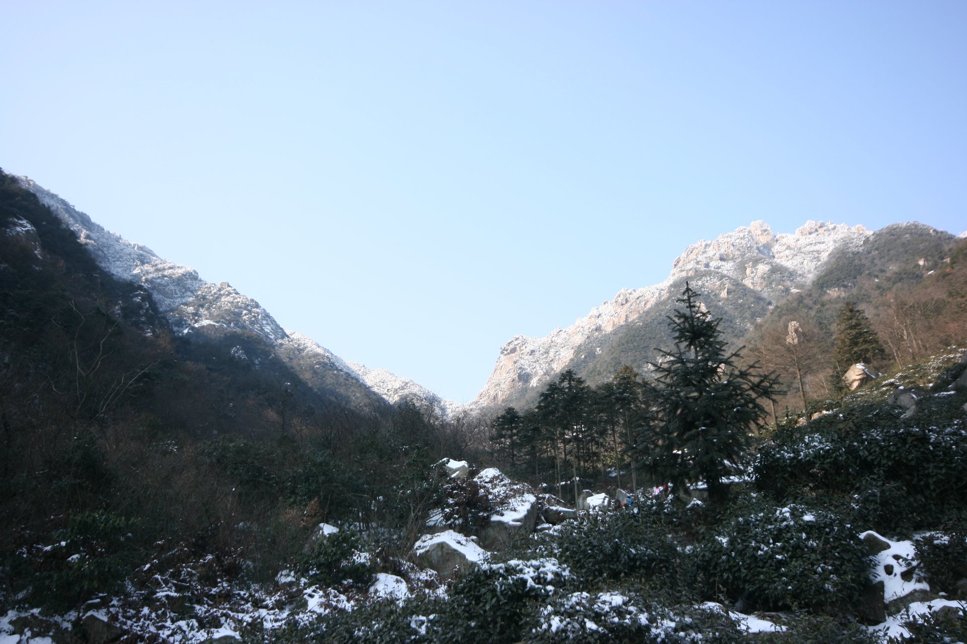 IMG_20120219_090000_016.jpg