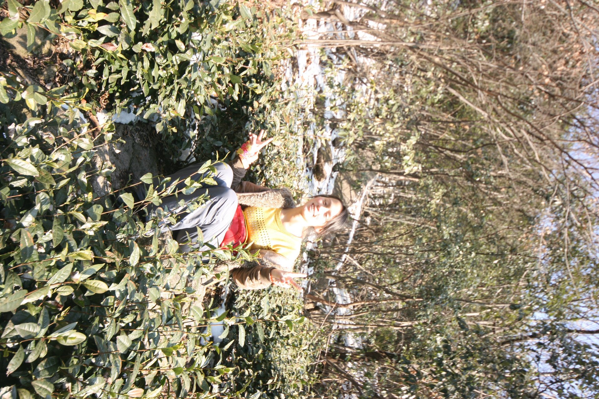 IMG_20120219_090000_020.jpg