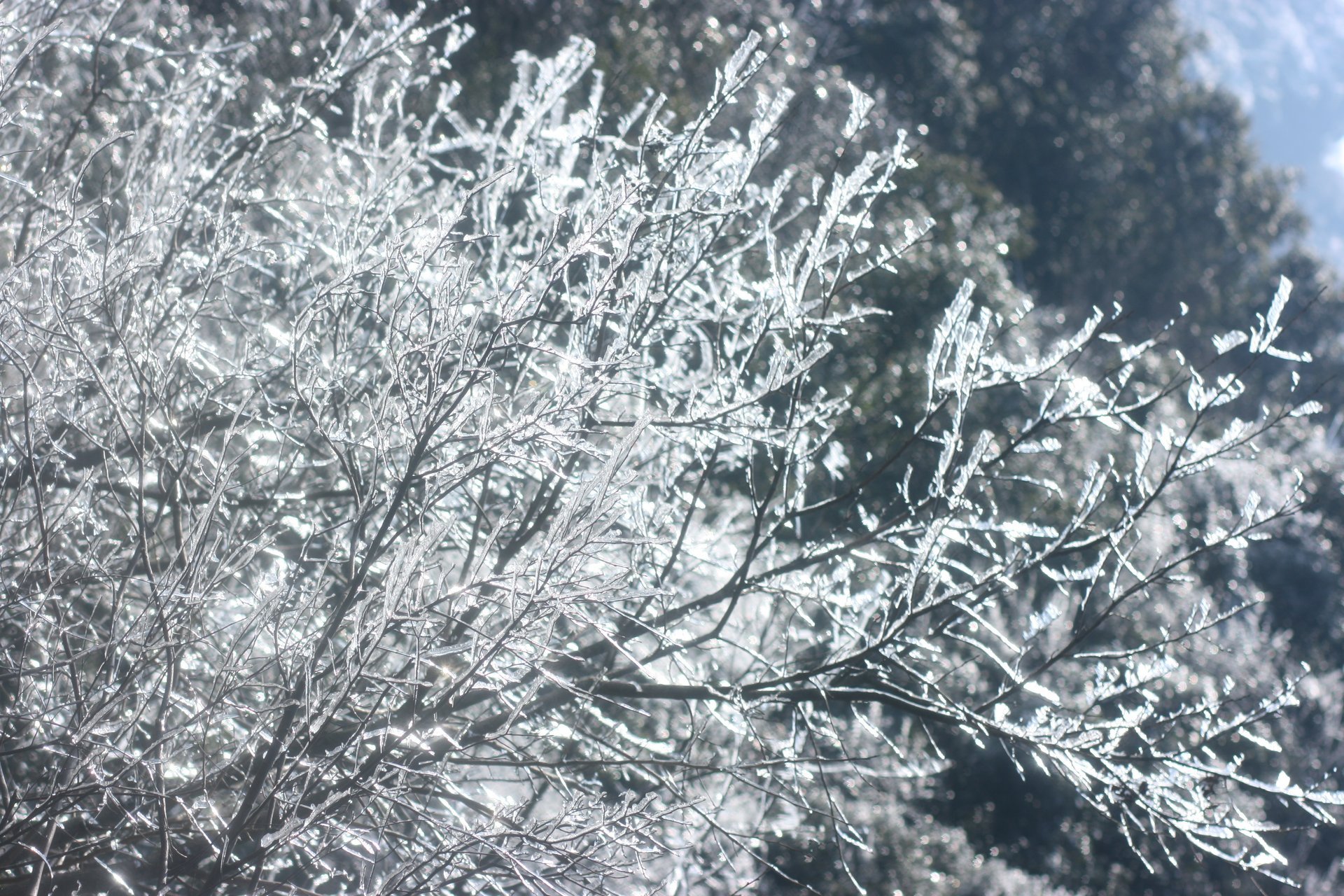 IMG_20120219_090000_046.jpg