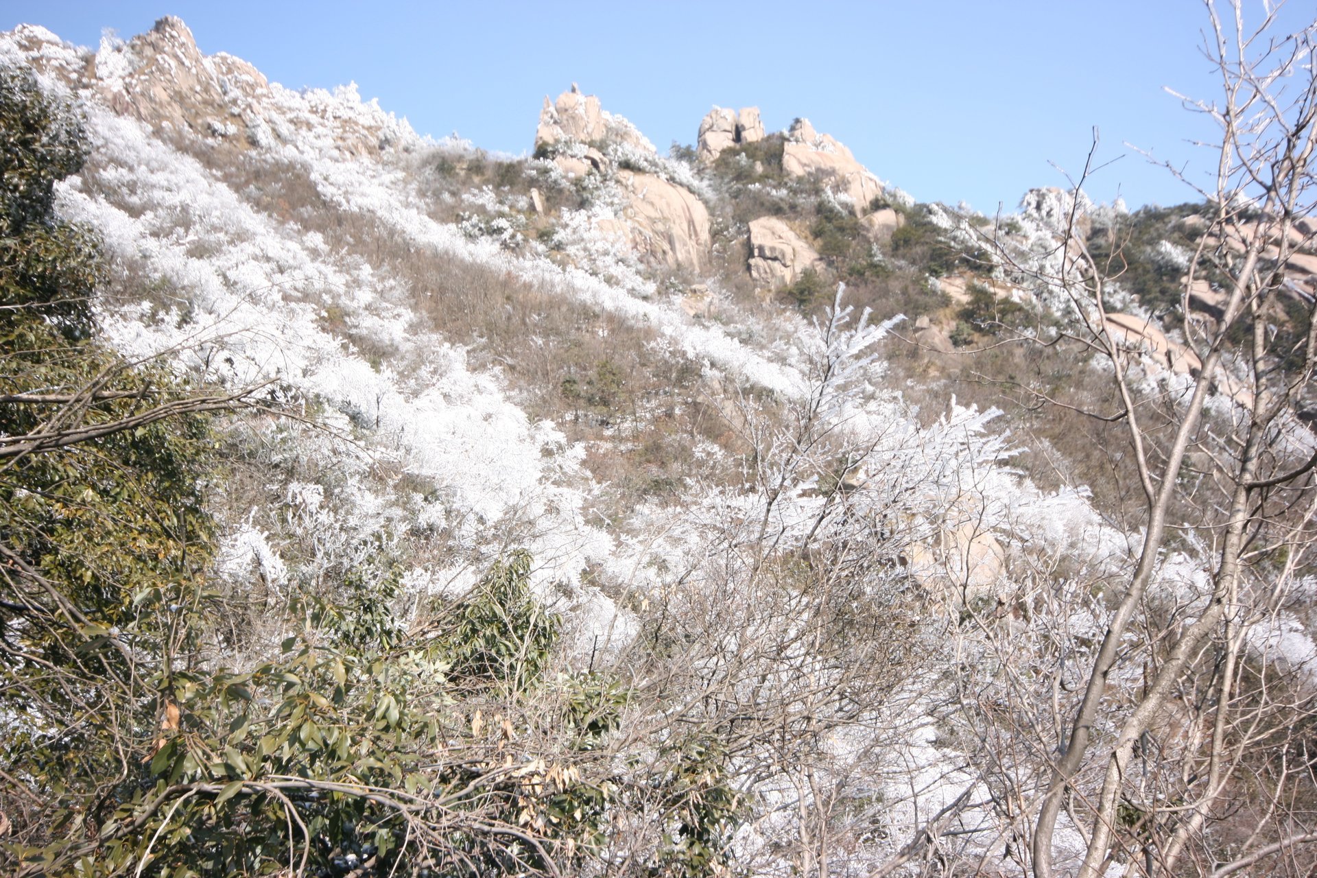 IMG_20120219_090000_059.jpg