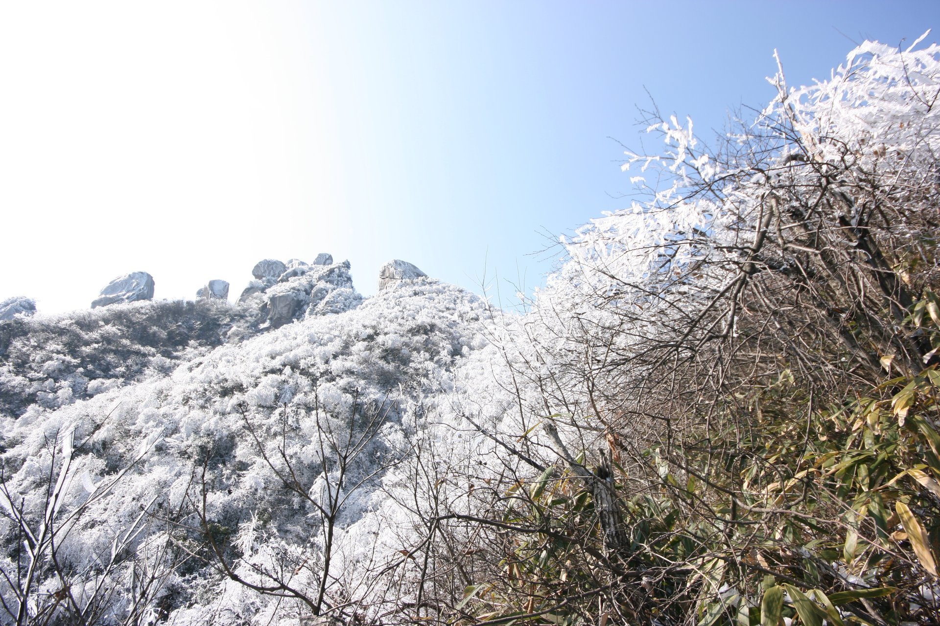 IMG_20120219_090000_061.jpg