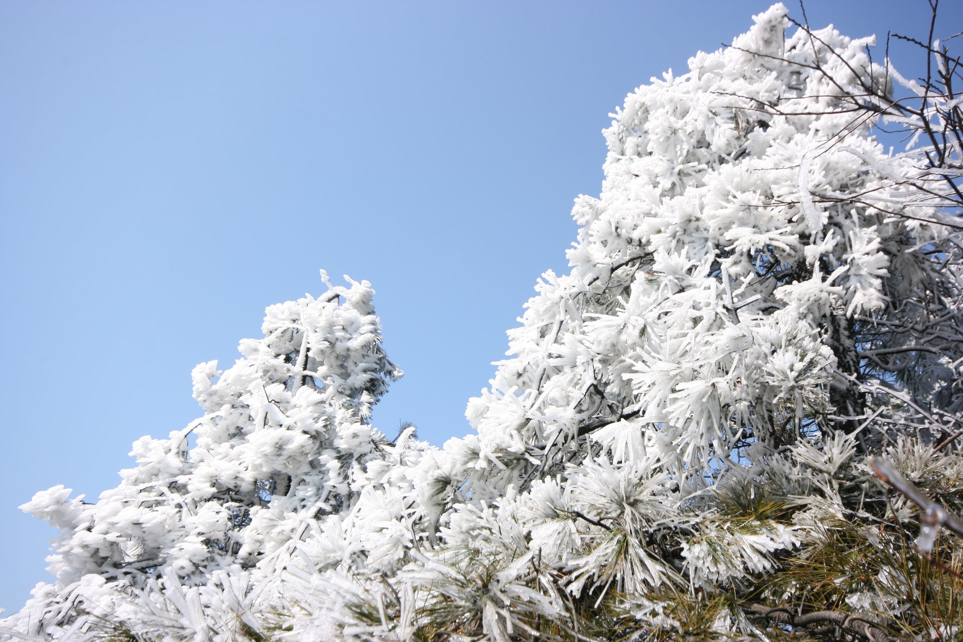 IMG_20120219_112300.jpg