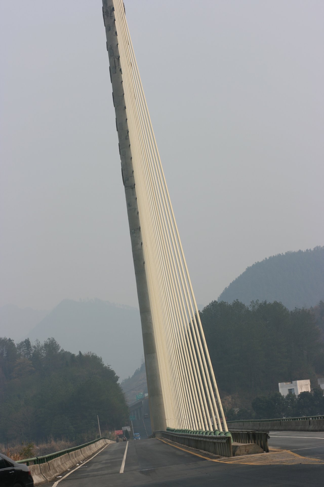 IMG_20120310_090000.jpg