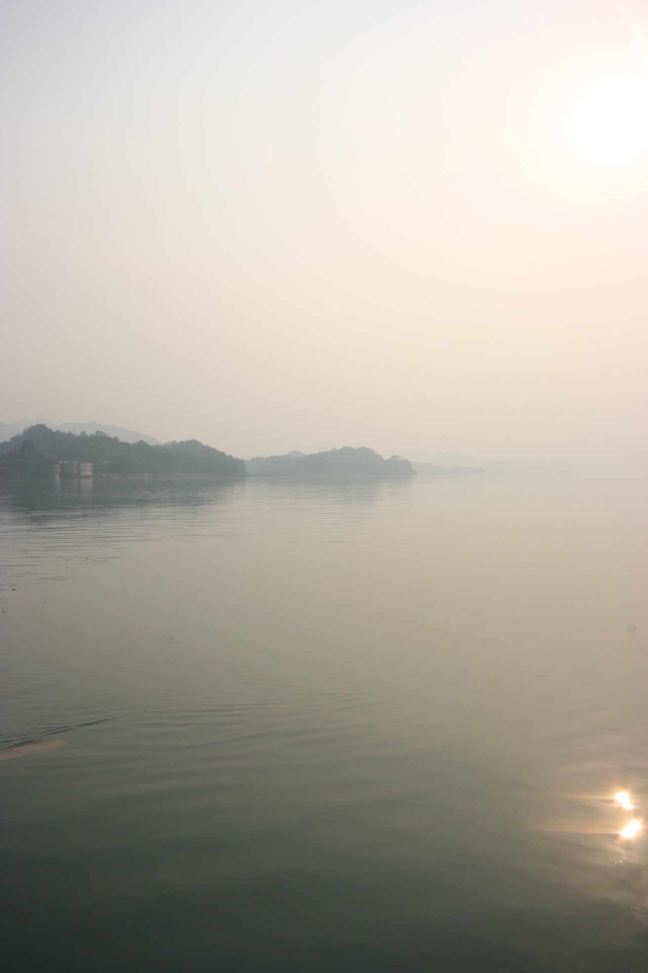 IMG_20120310_090000_031.jpg
