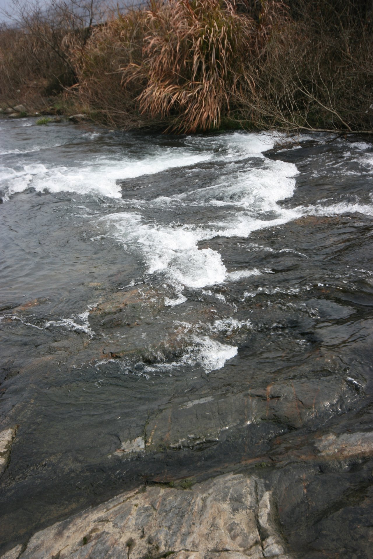 IMG_20120310_090000_047.jpg