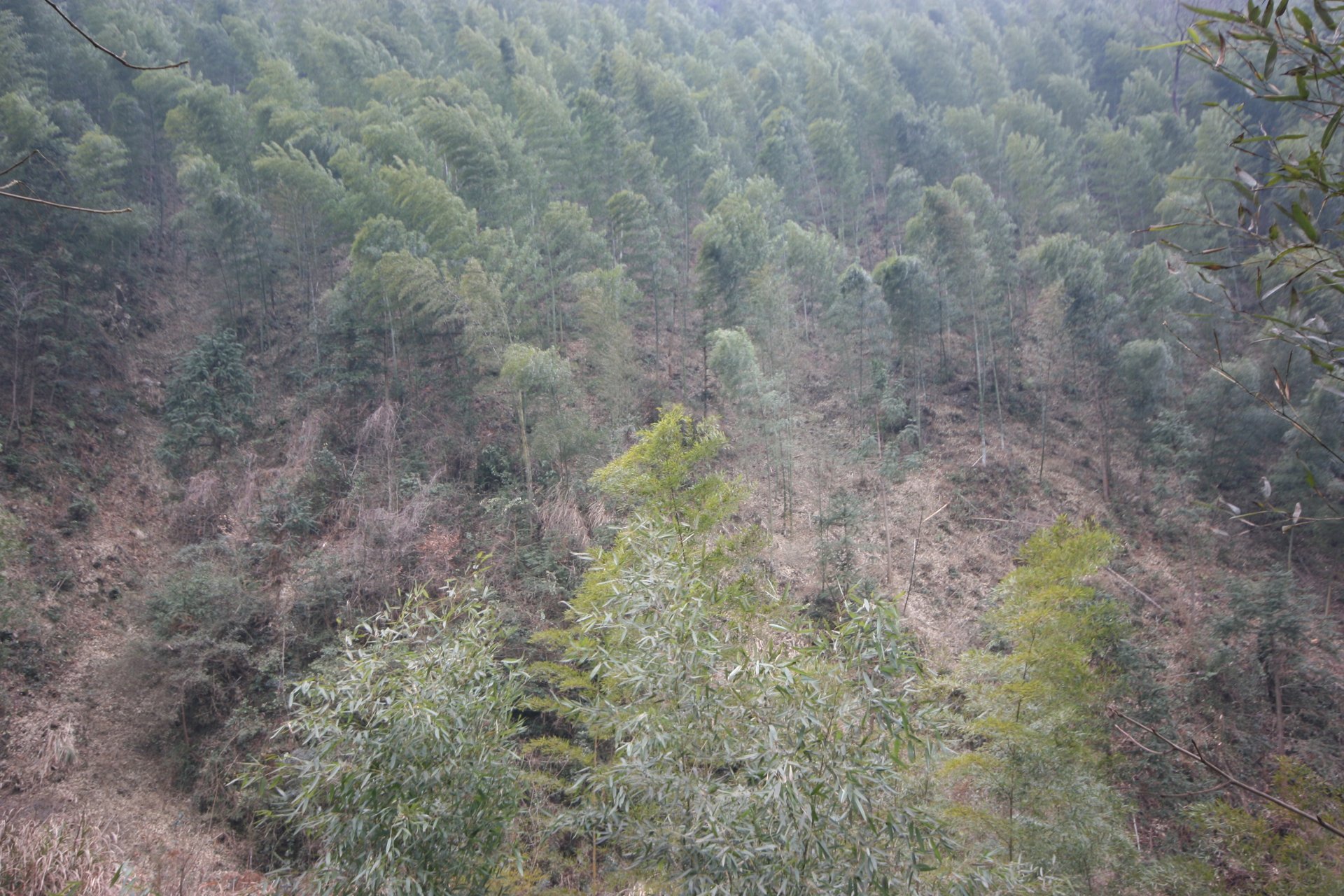 IMG_20120310_090000_060.jpg