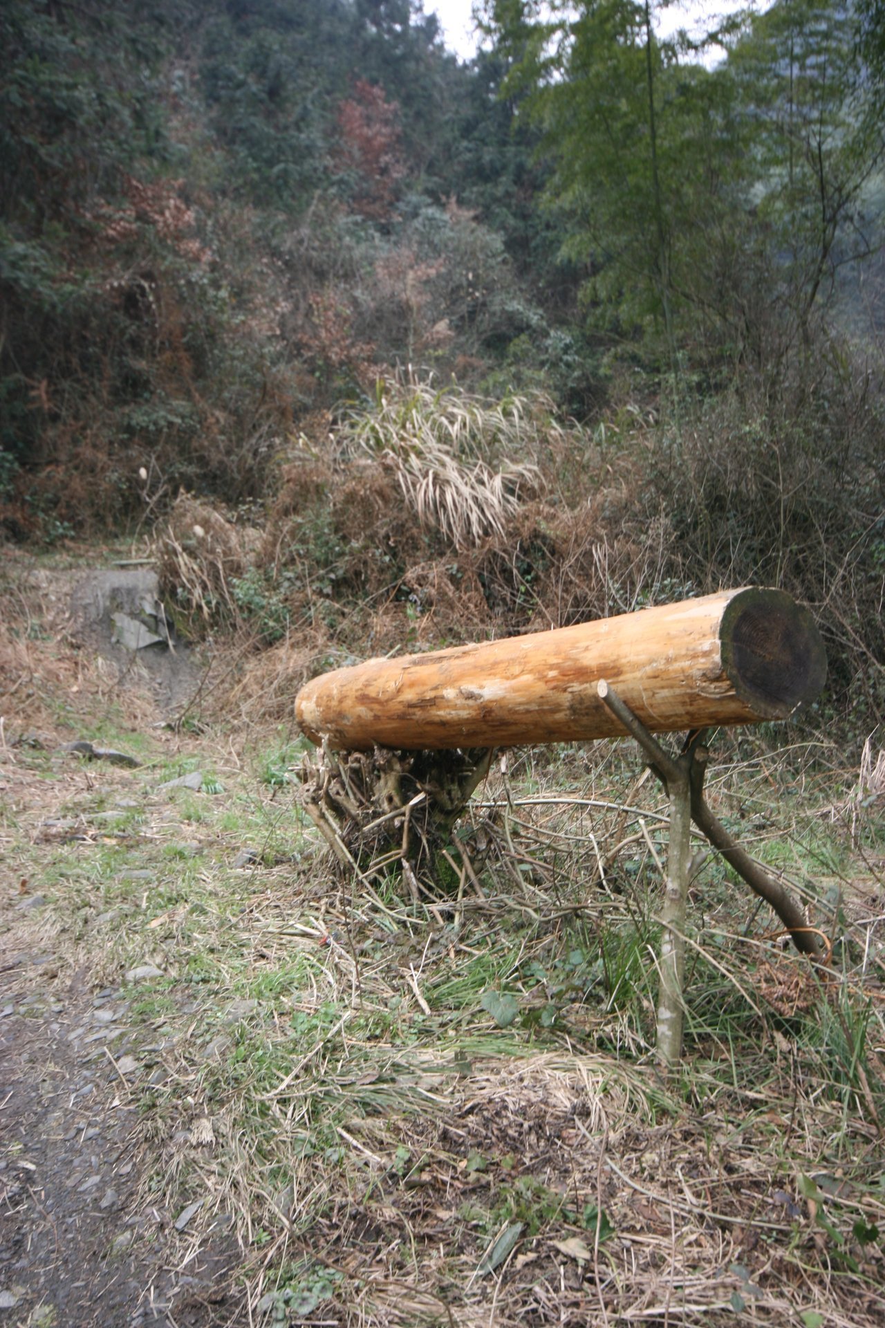 IMG_20120310_090000_061.jpg