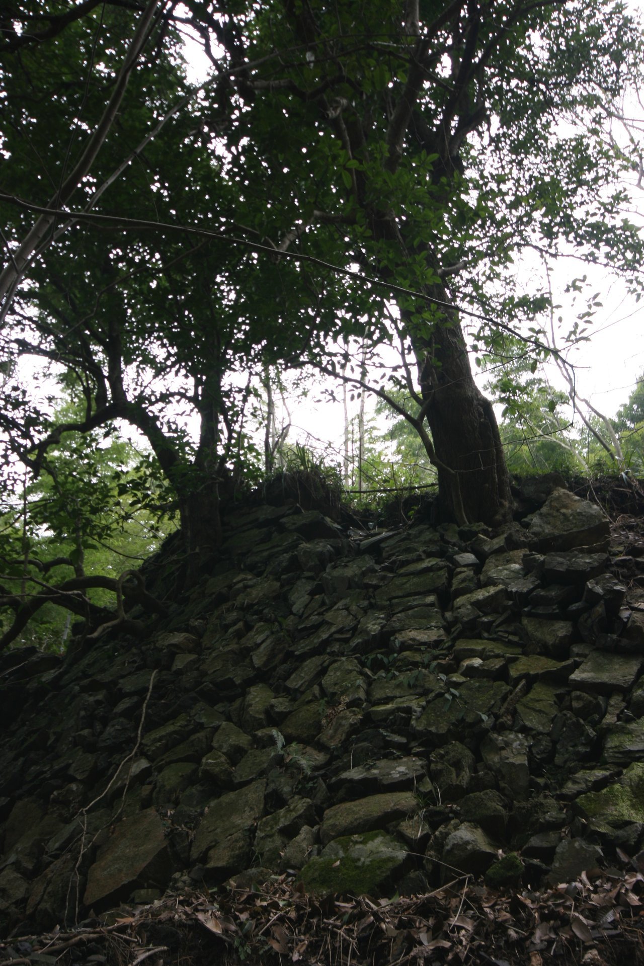 IMG_20120310_090000_074.jpg