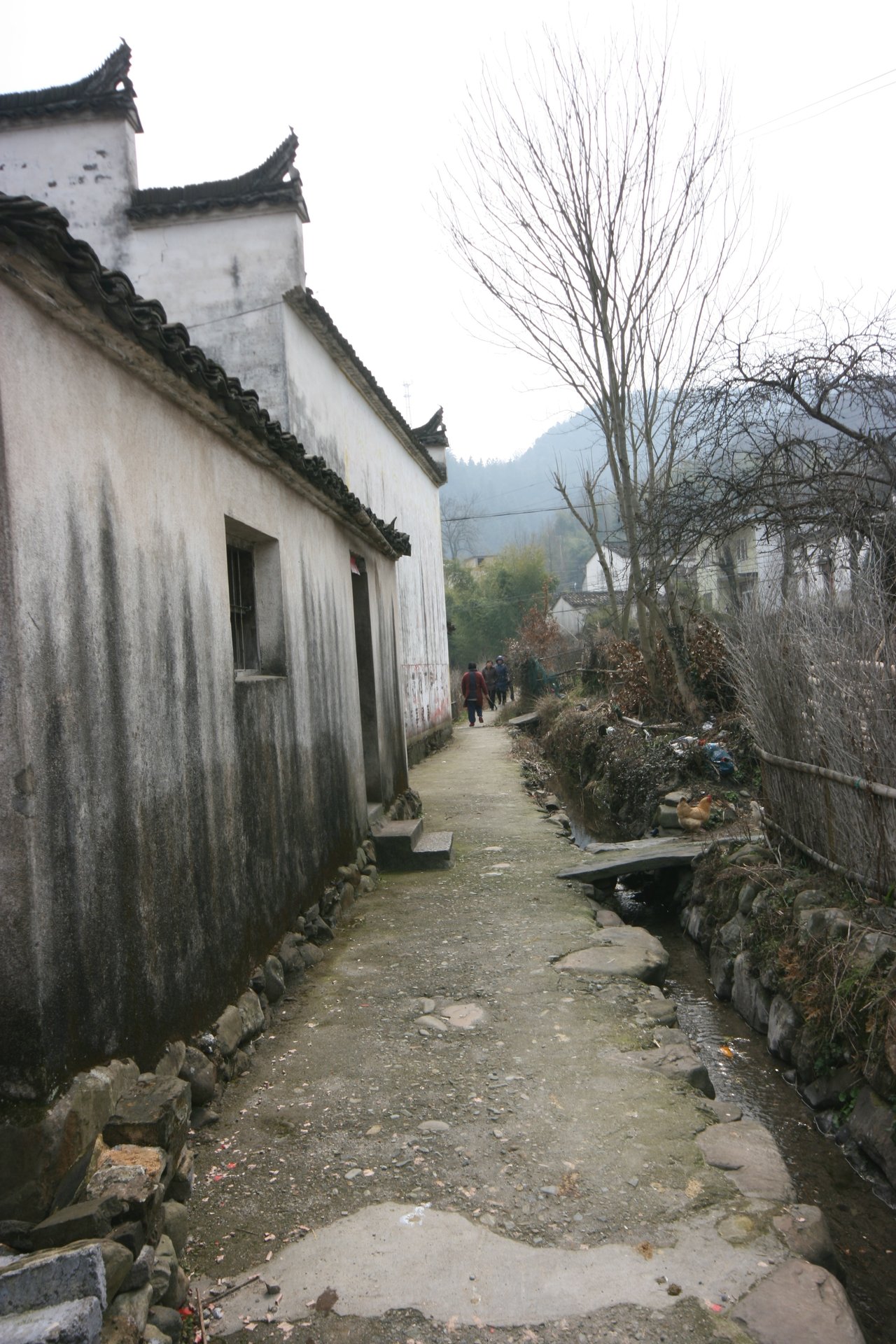 IMG_20120310_090000_082.jpg
