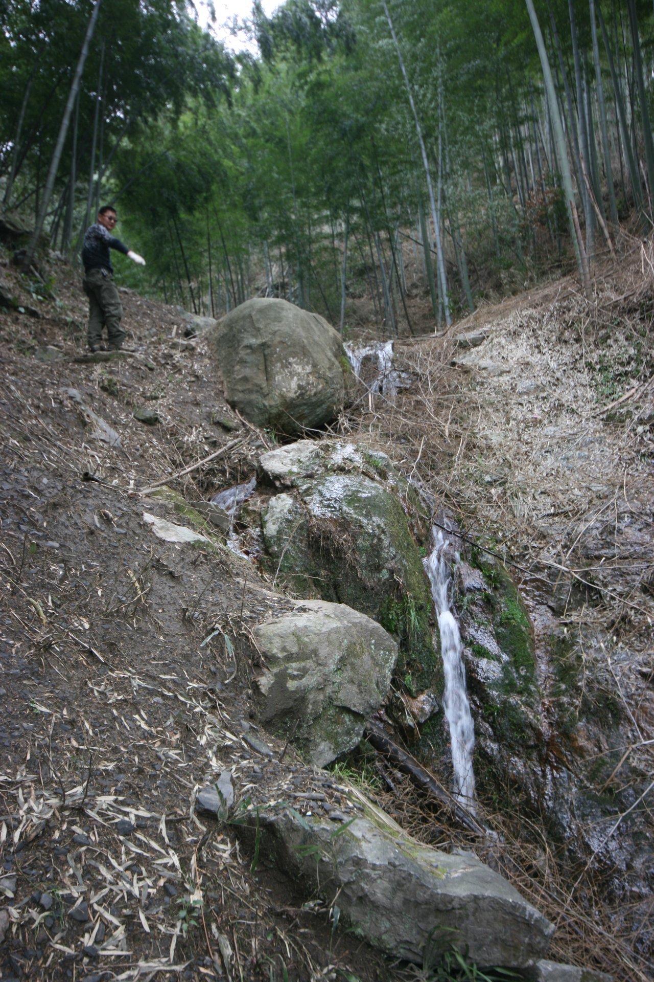 IMG_20120311_115349.jpg