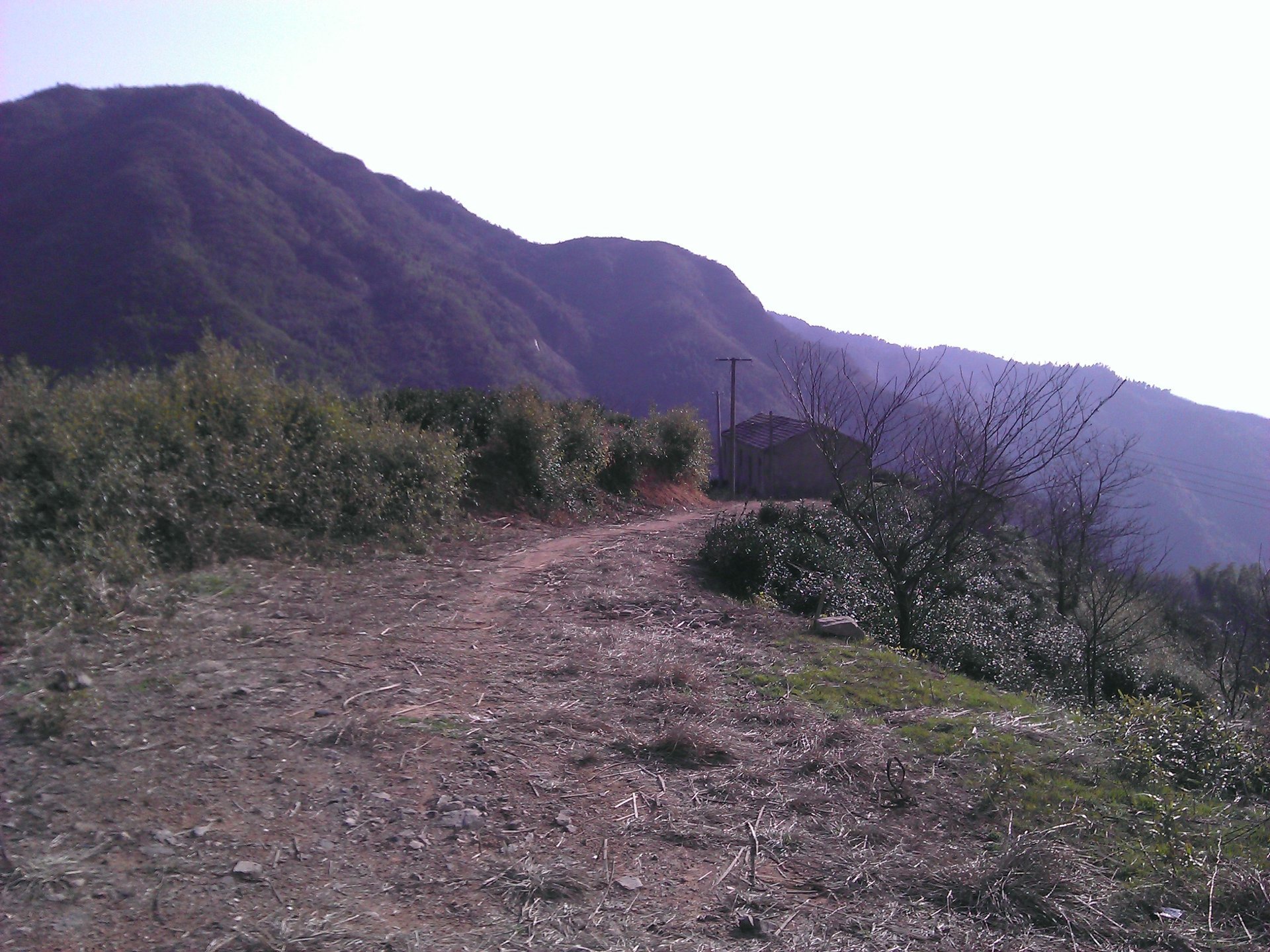 IMG_20120325_090000.jpg