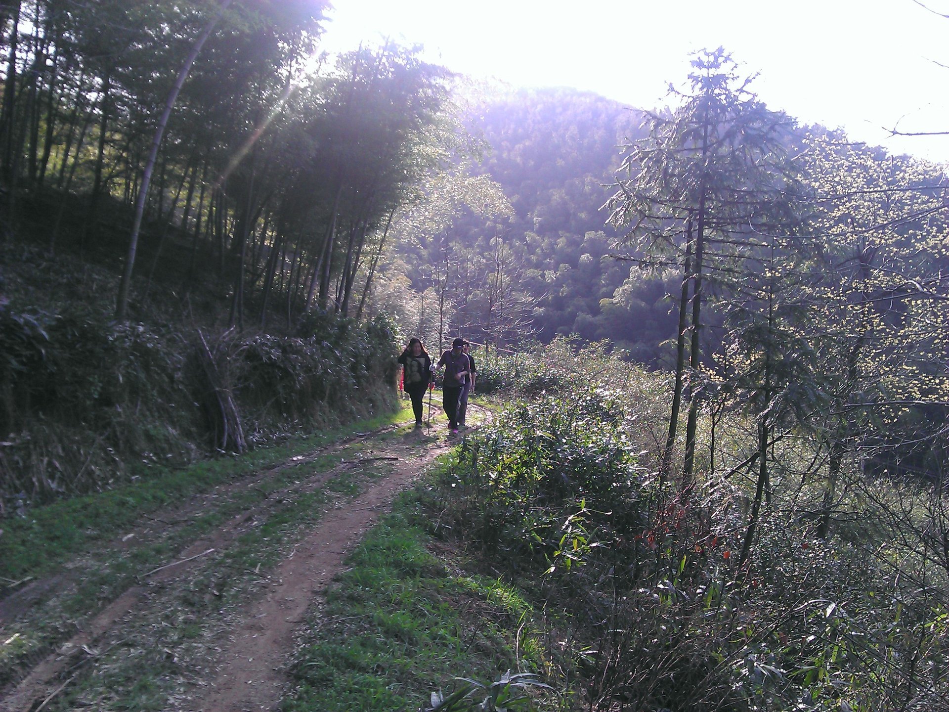 IMG_20120325_090000_003.jpg