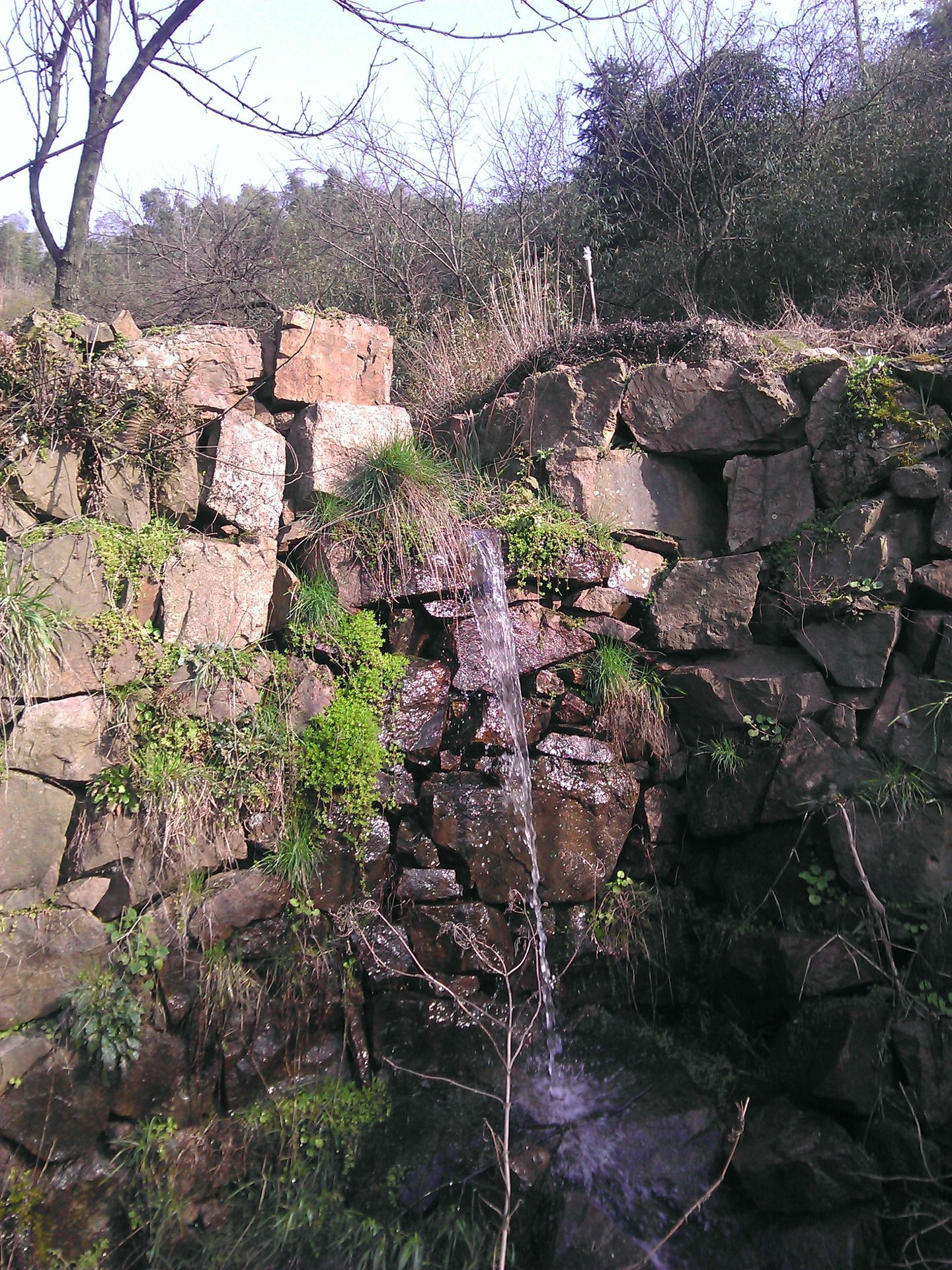 IMG_20120325_090000_004.jpg