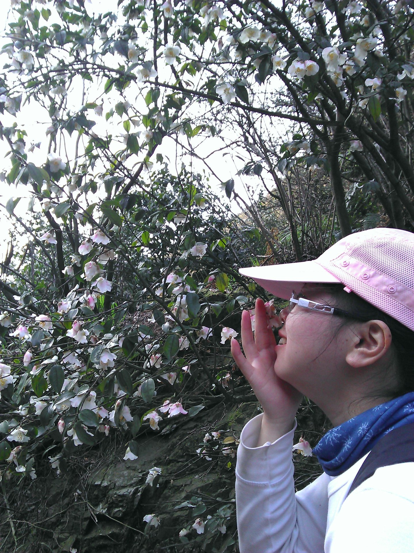 IMG_20120325_090000_017.jpg