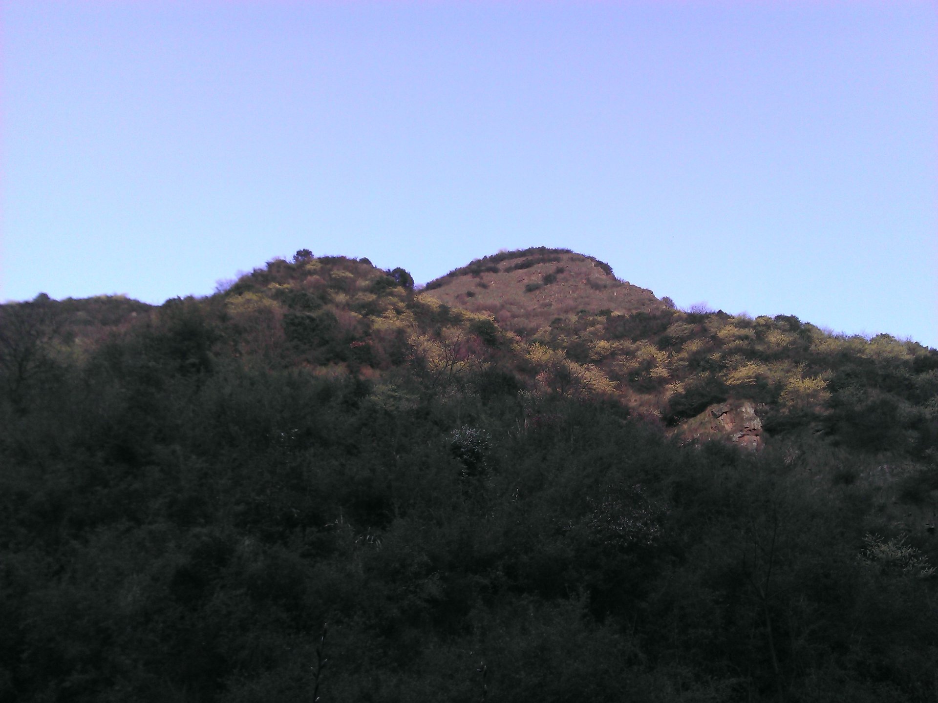 IMG_20120325_090000_019.jpg