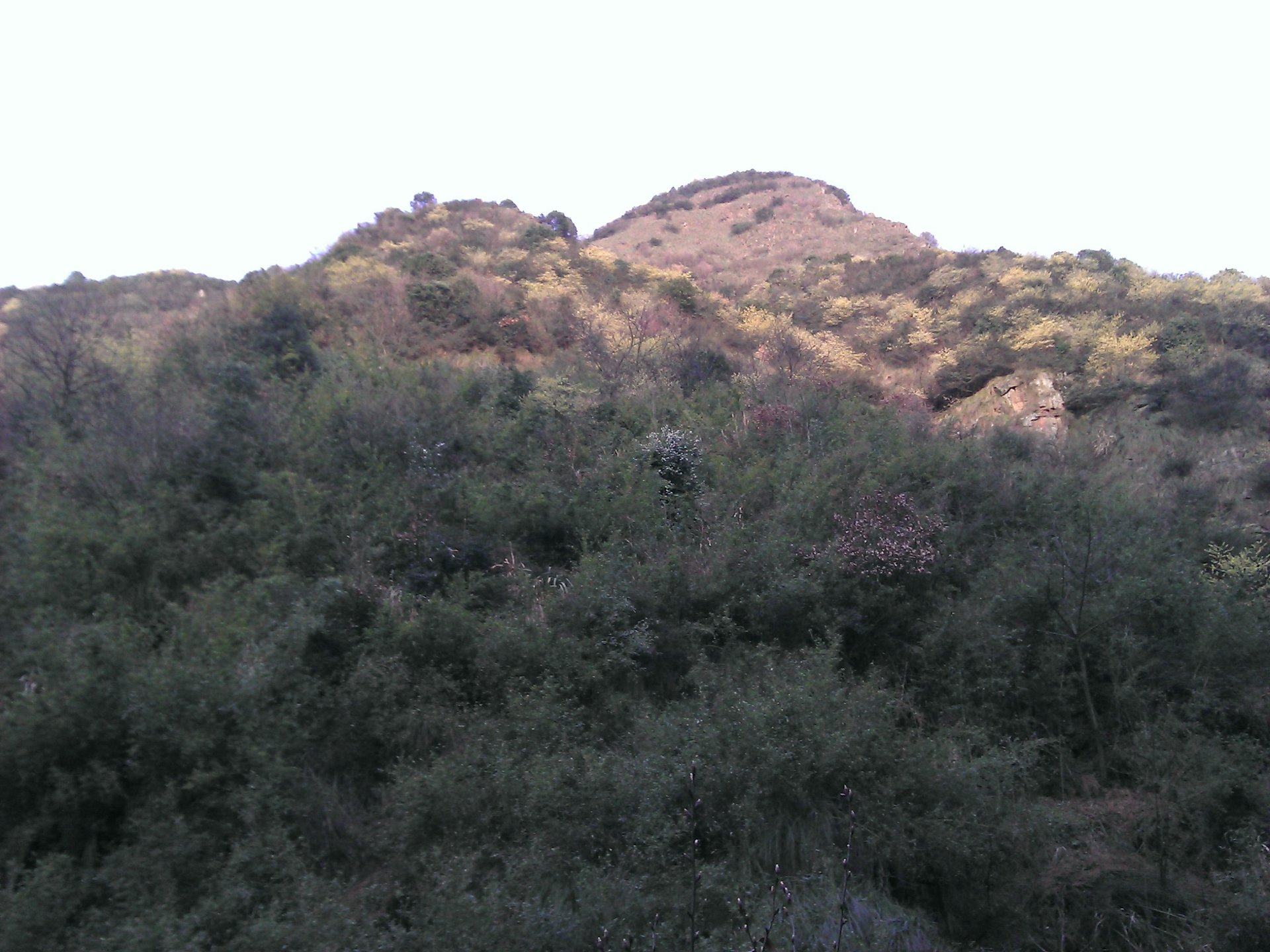 IMG_20120325_090000_020.jpg
