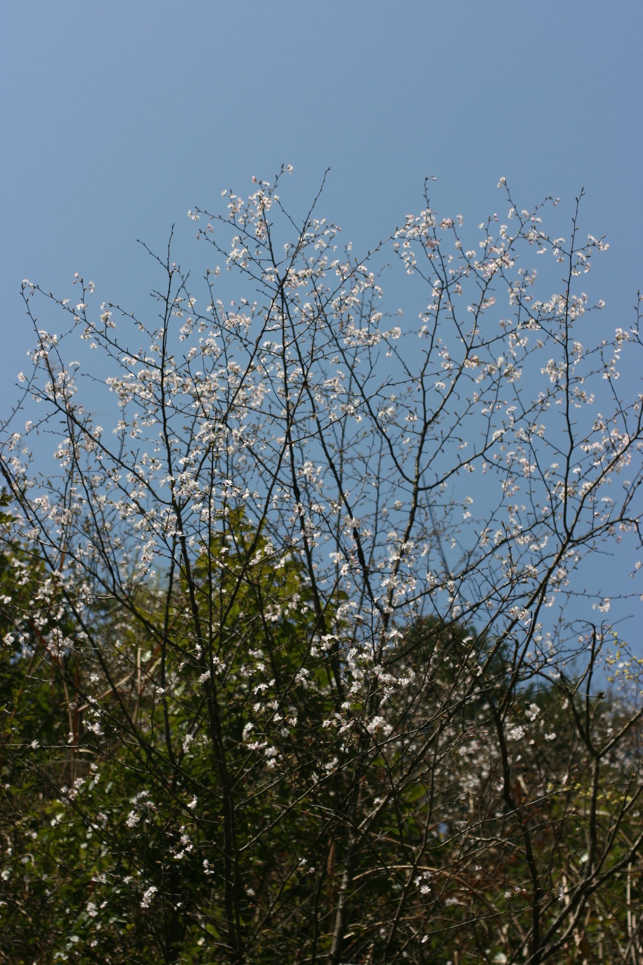 IMG_20120325_090000_031.jpg