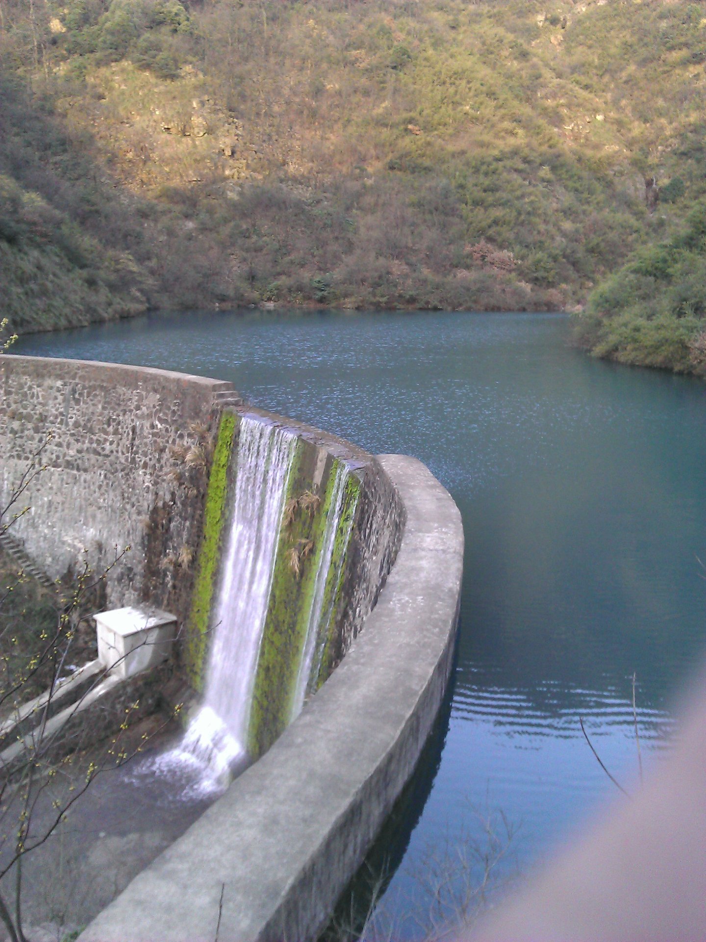 IMG_20120325_174140.jpg