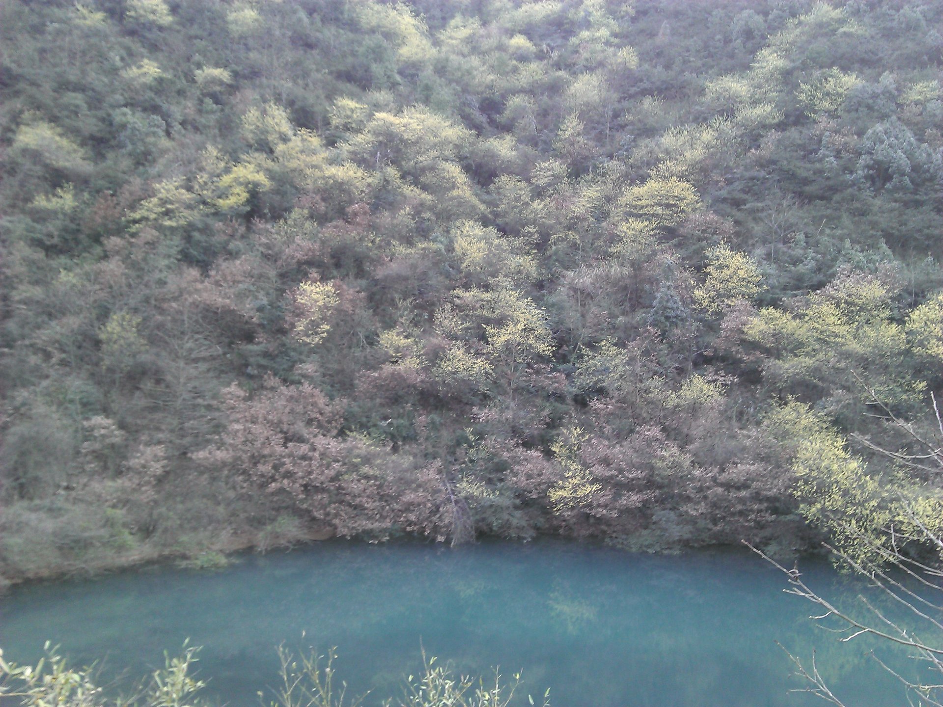 IMG_20120325_174900.jpg
