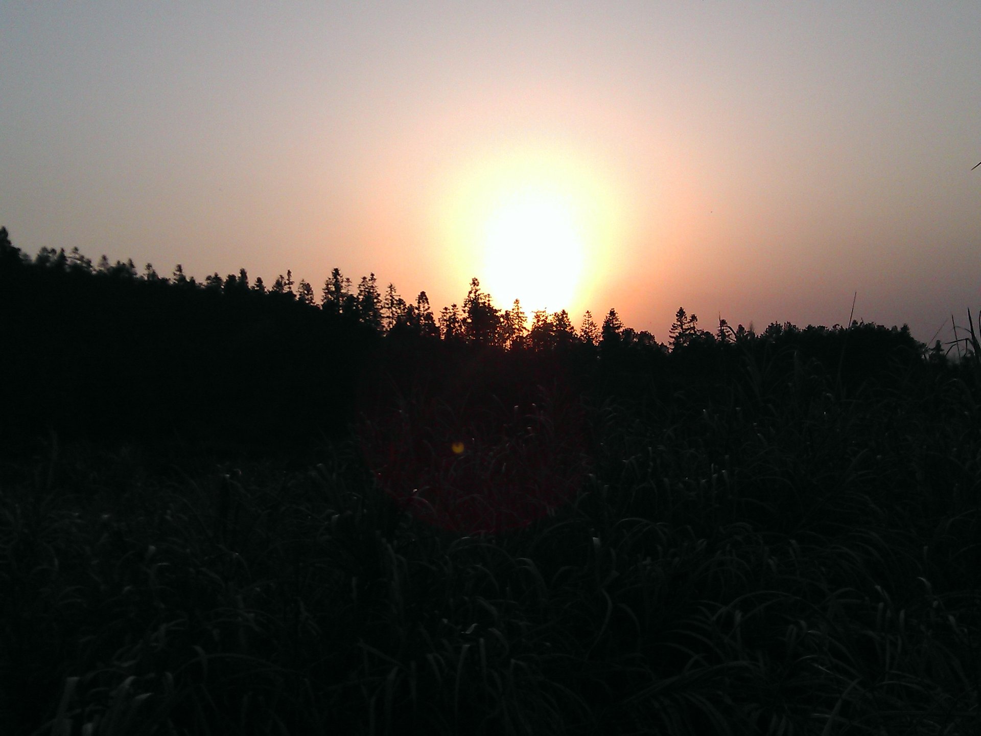 IMG_20120325_175743.jpg