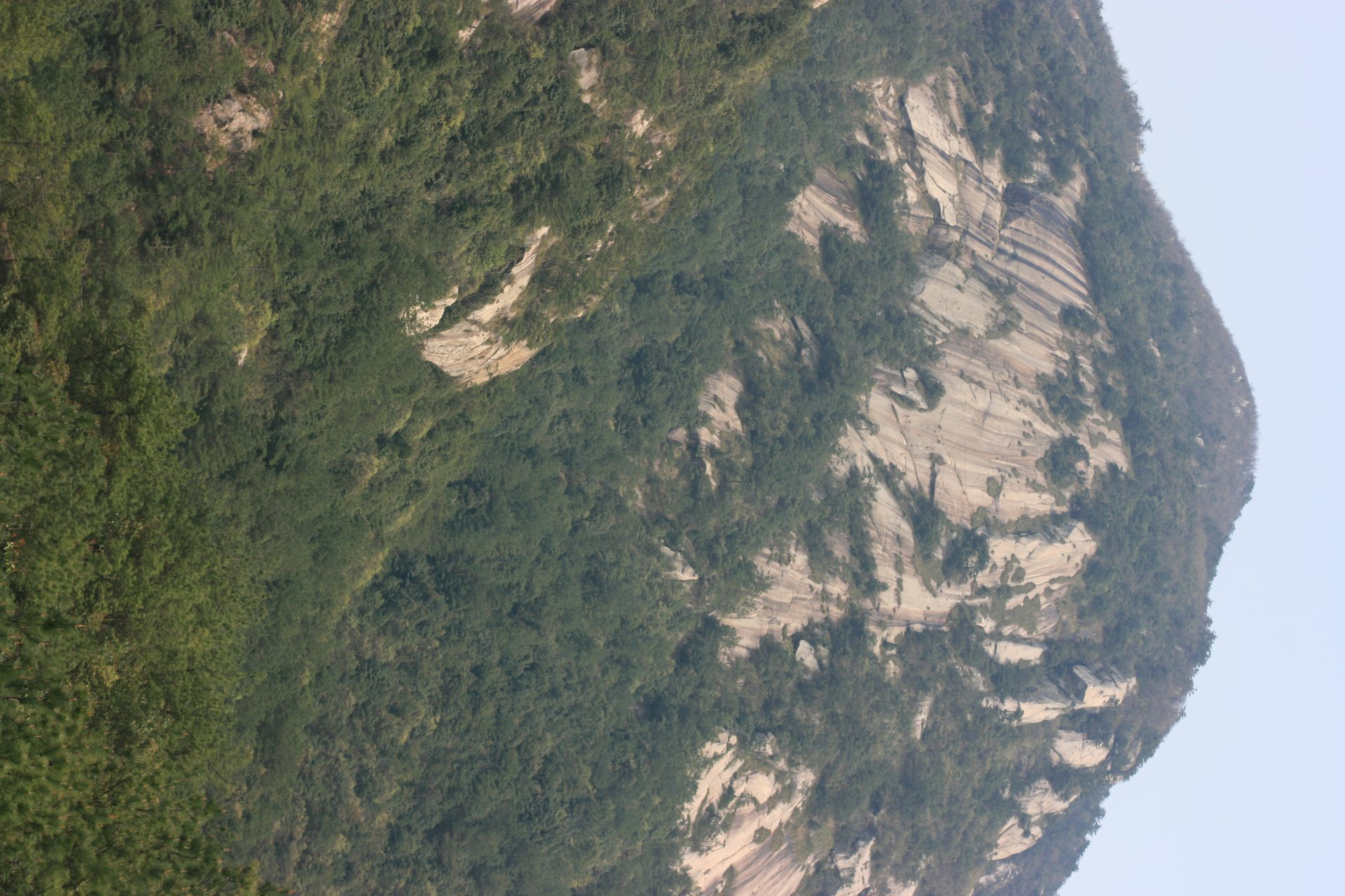 IMG_20120407_090000_005.jpg