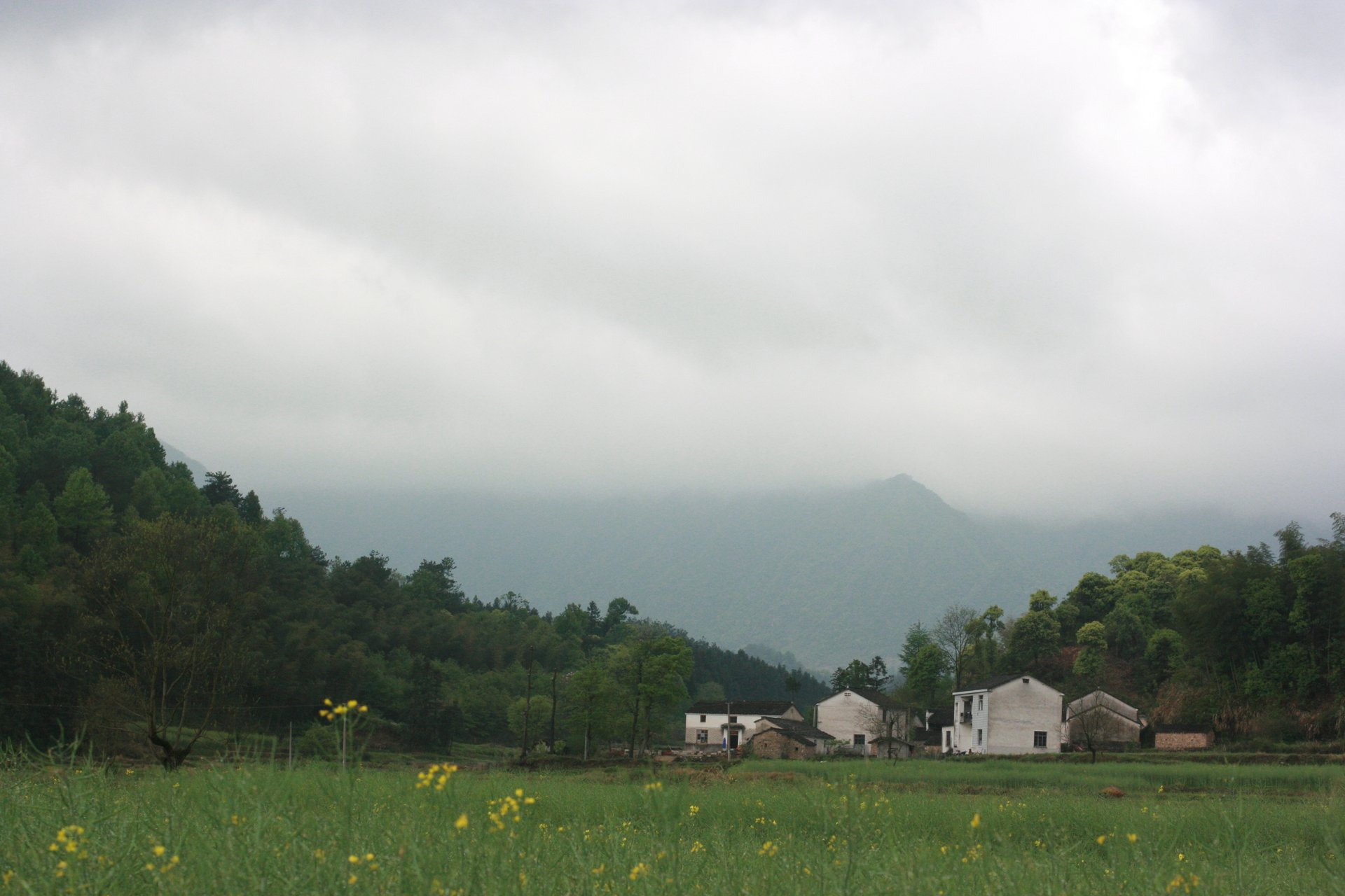 IMG_20120421_090000.jpg