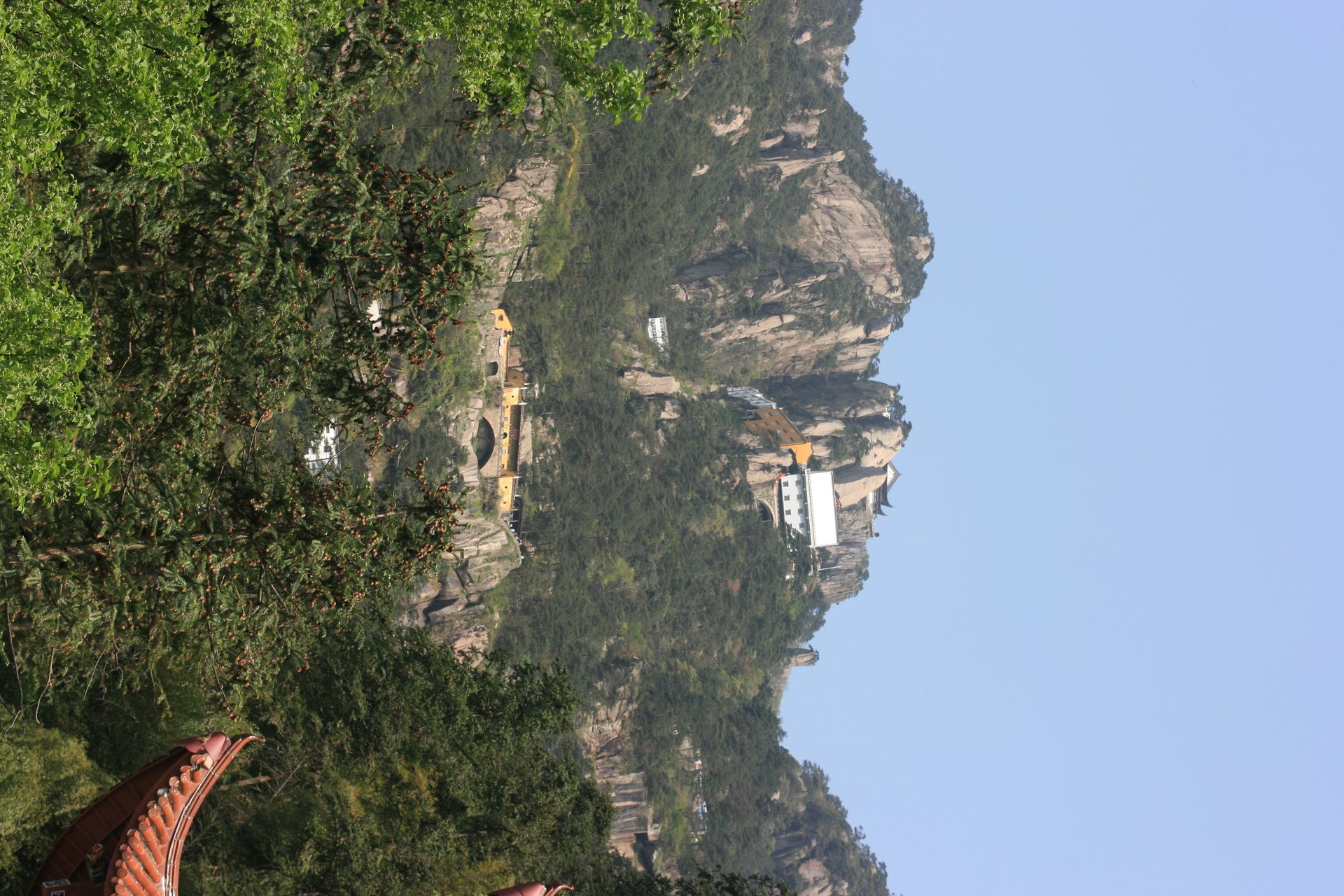 IMG_20120421_090000_084.jpg