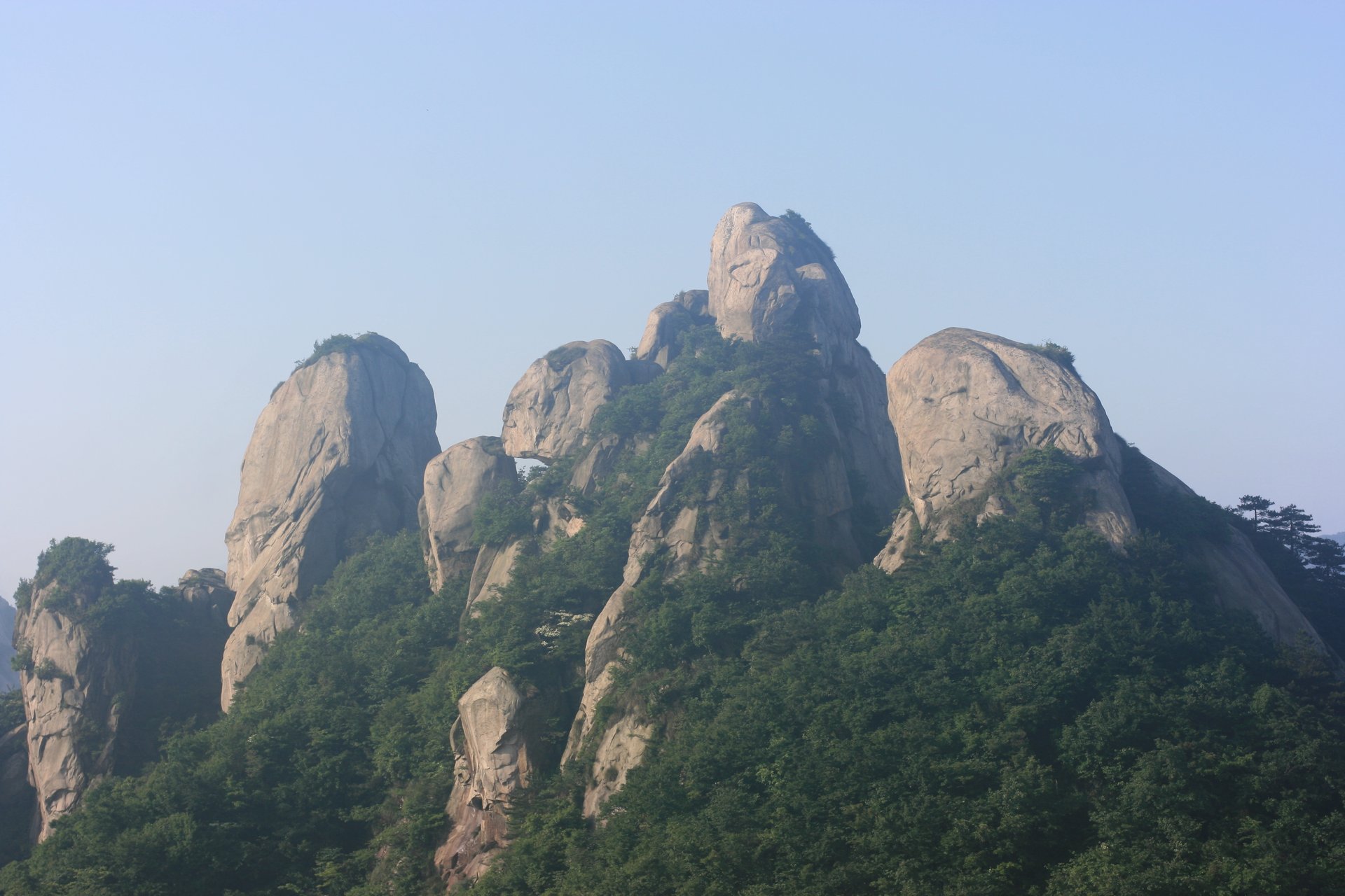 IMG_20120526_090000_006.jpg