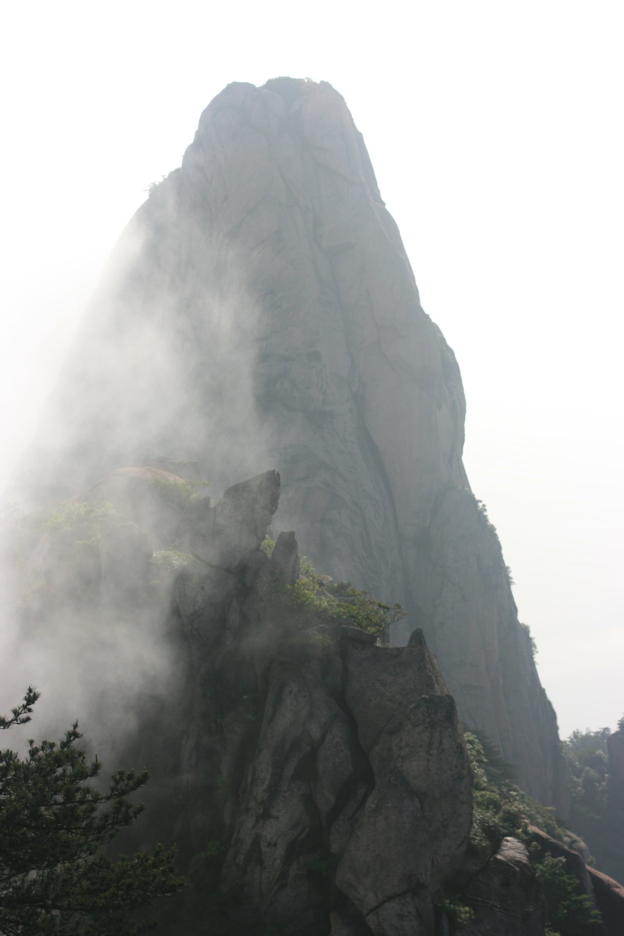 IMG_20120526_090000_017.jpg