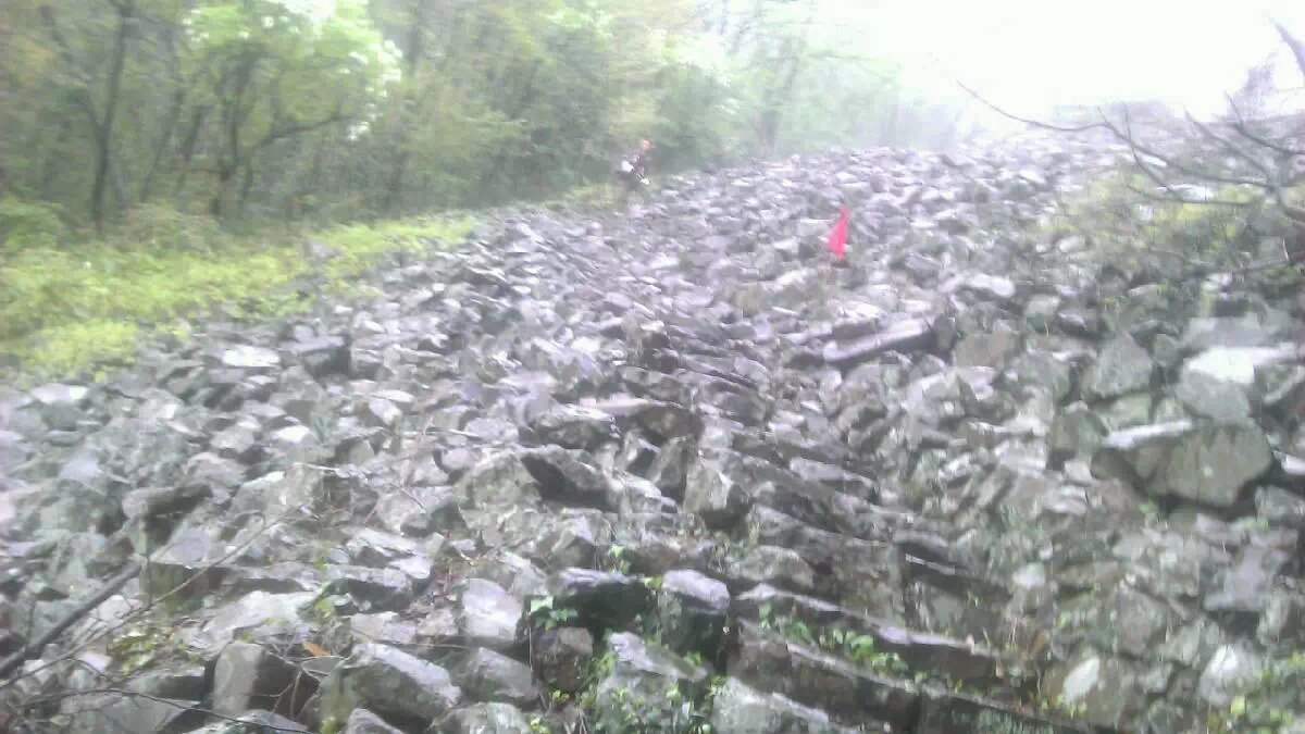 IMG_20130404_090000_002.jpg