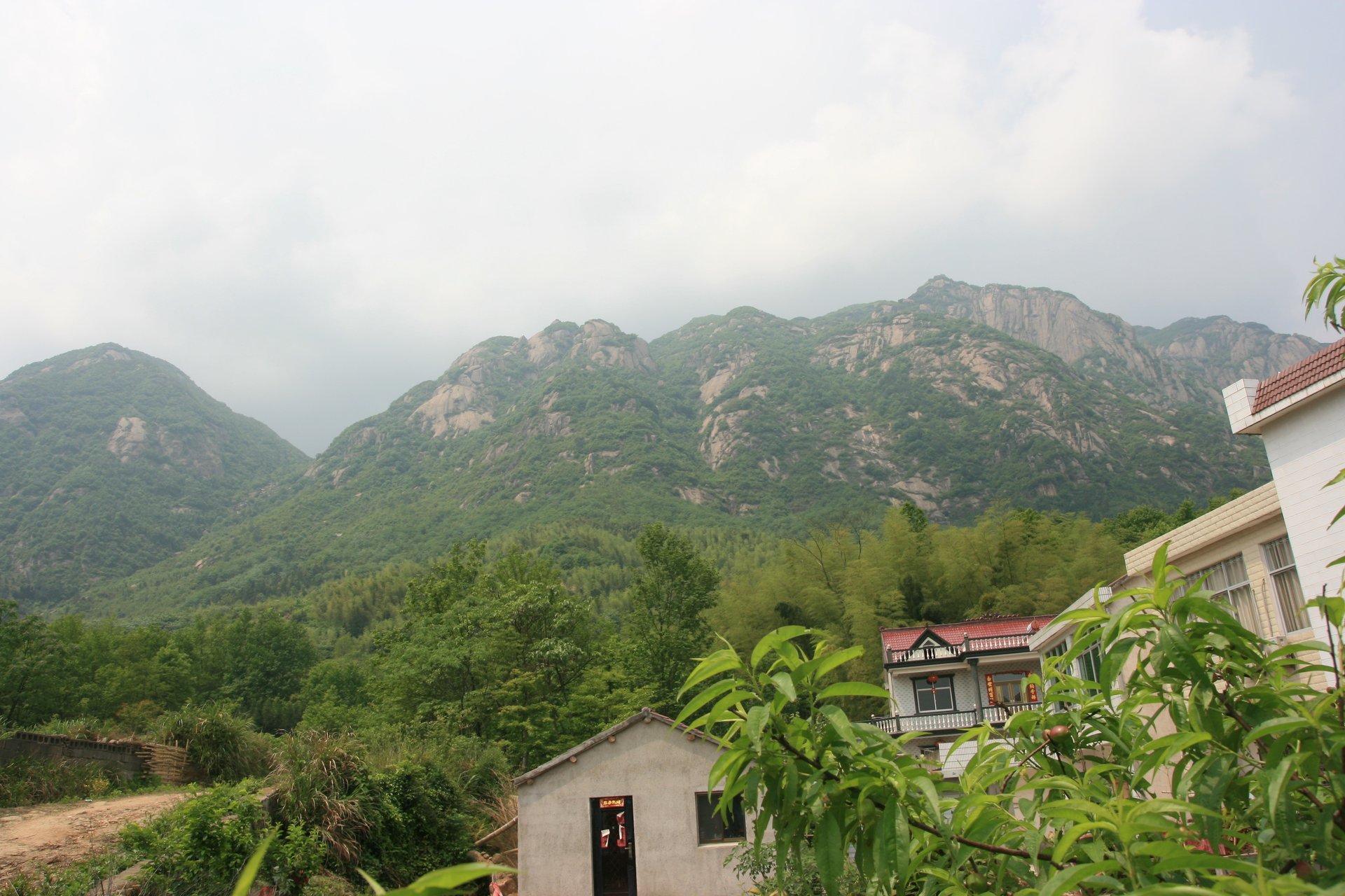 IMG_20130429_090000_001.jpg