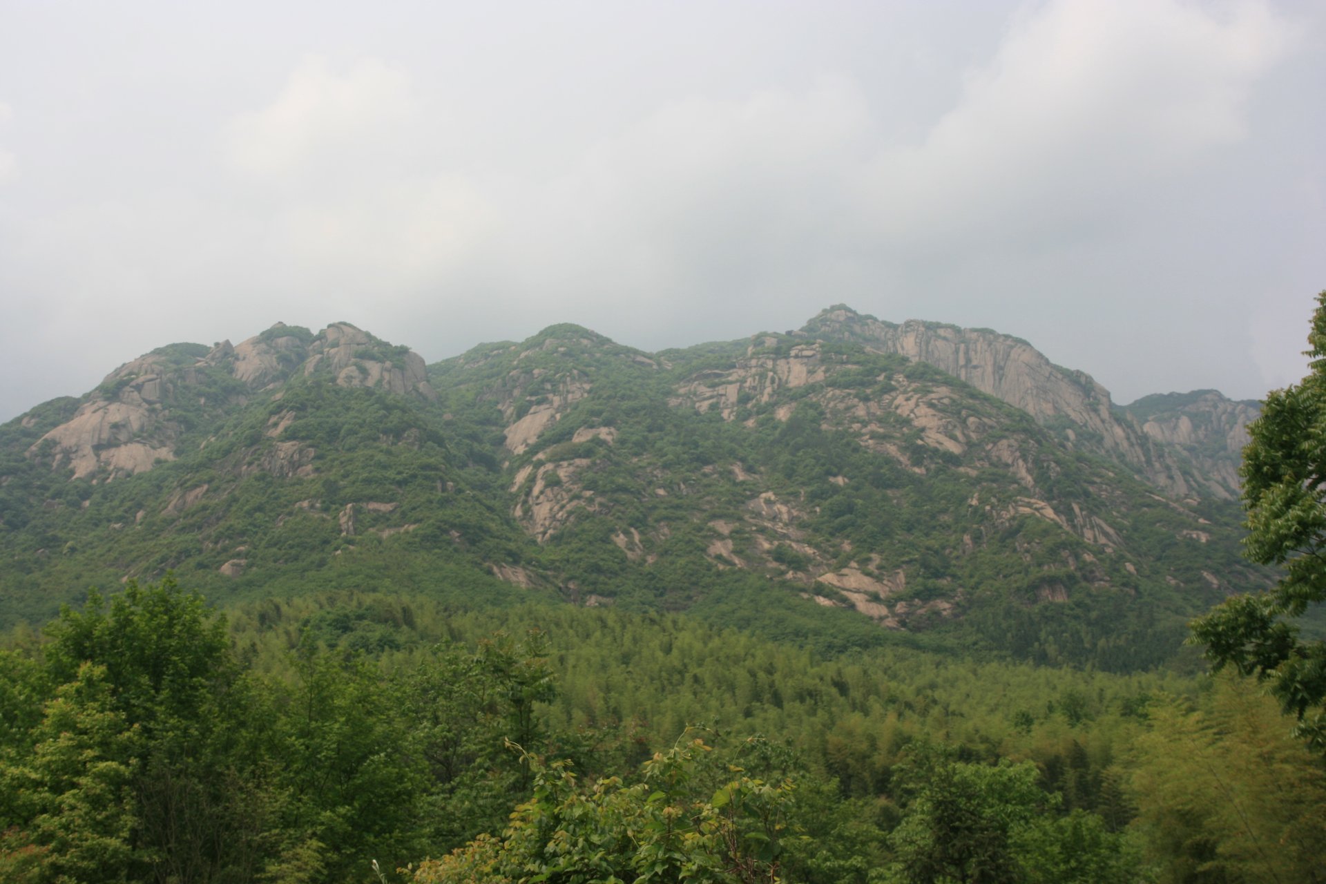 IMG_20130429_090000_002.jpg