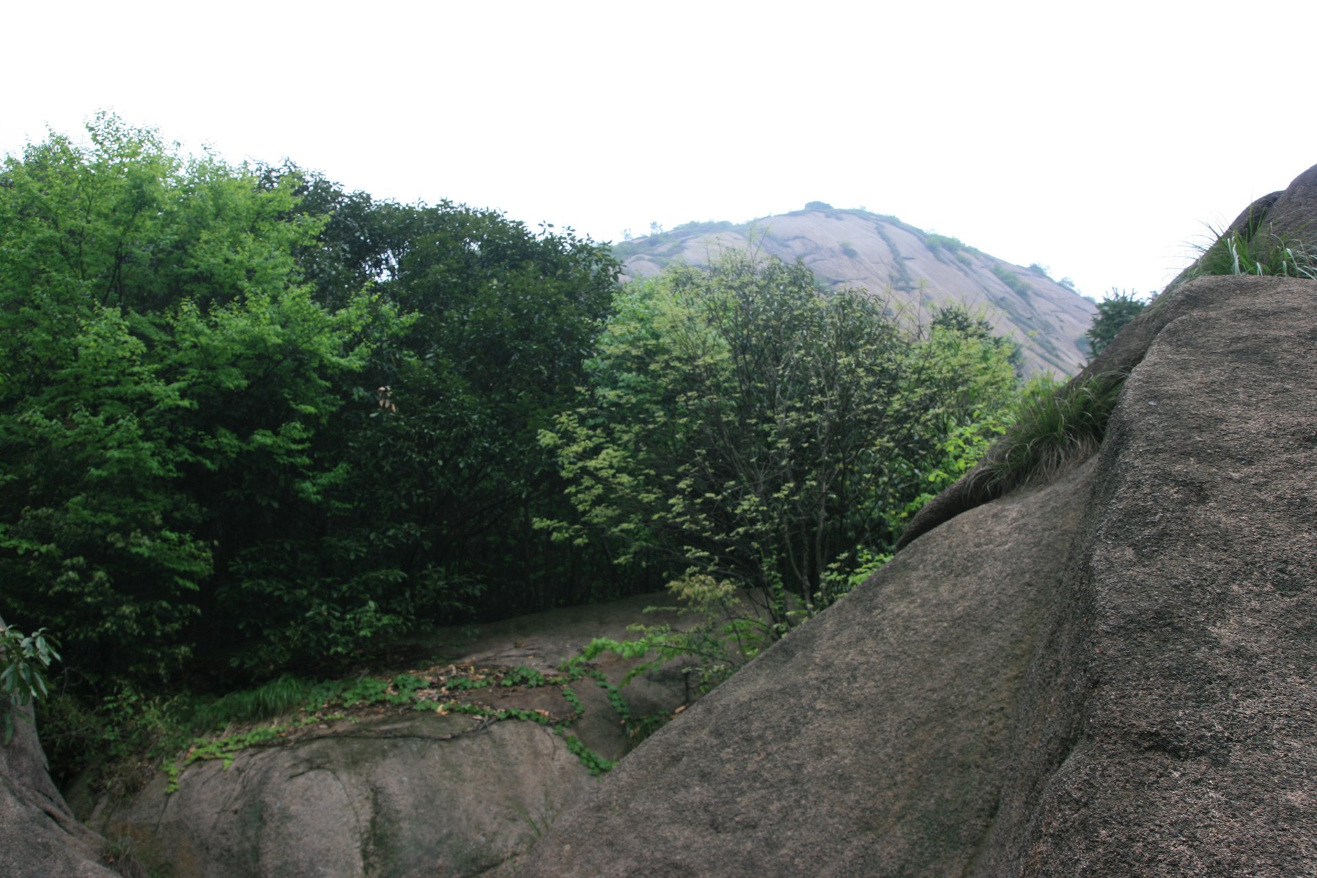 IMG_20130429_090000_010.jpg