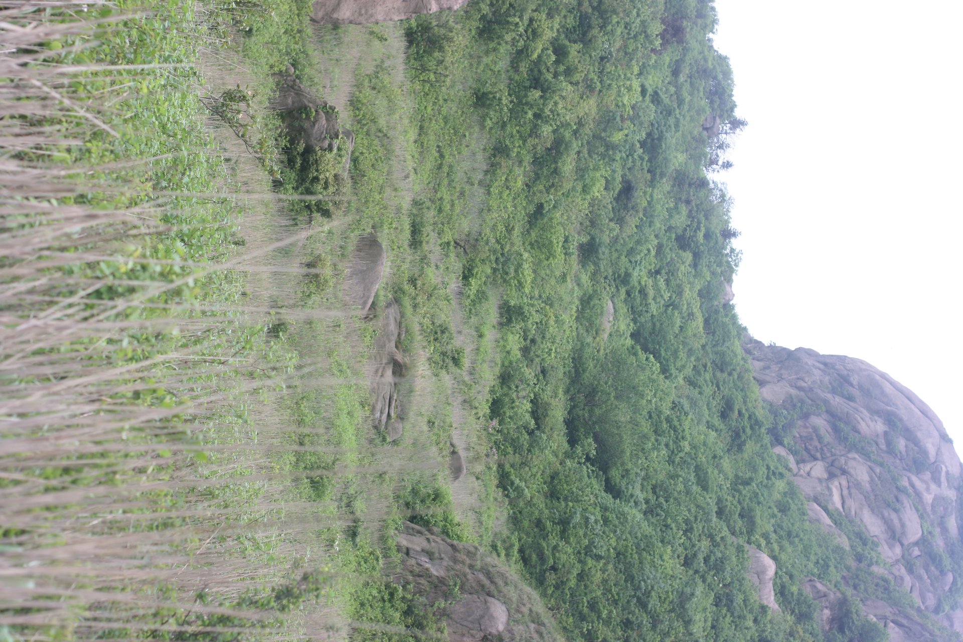 IMG_20140510_154501.jpg