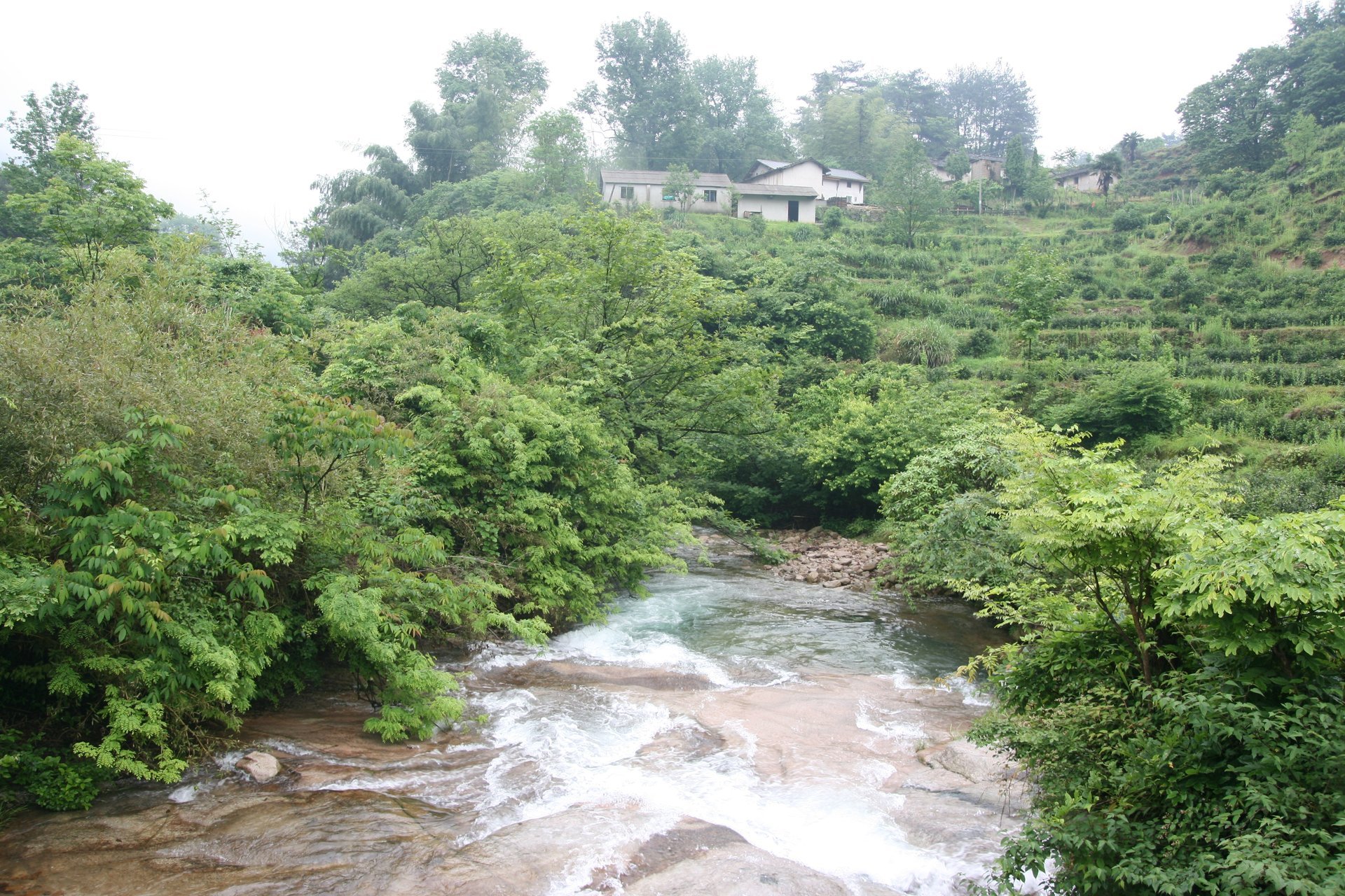 IMG_20140517_090000_003.jpg