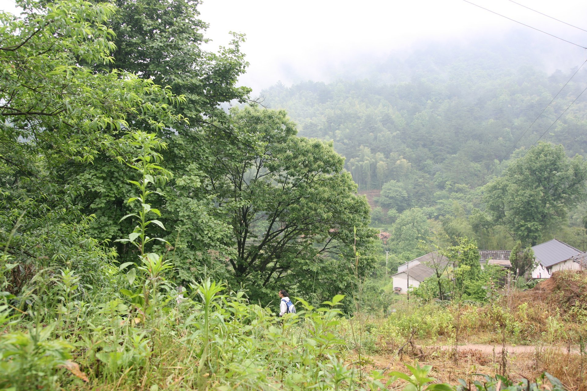IMG_20140517_103830.jpg
