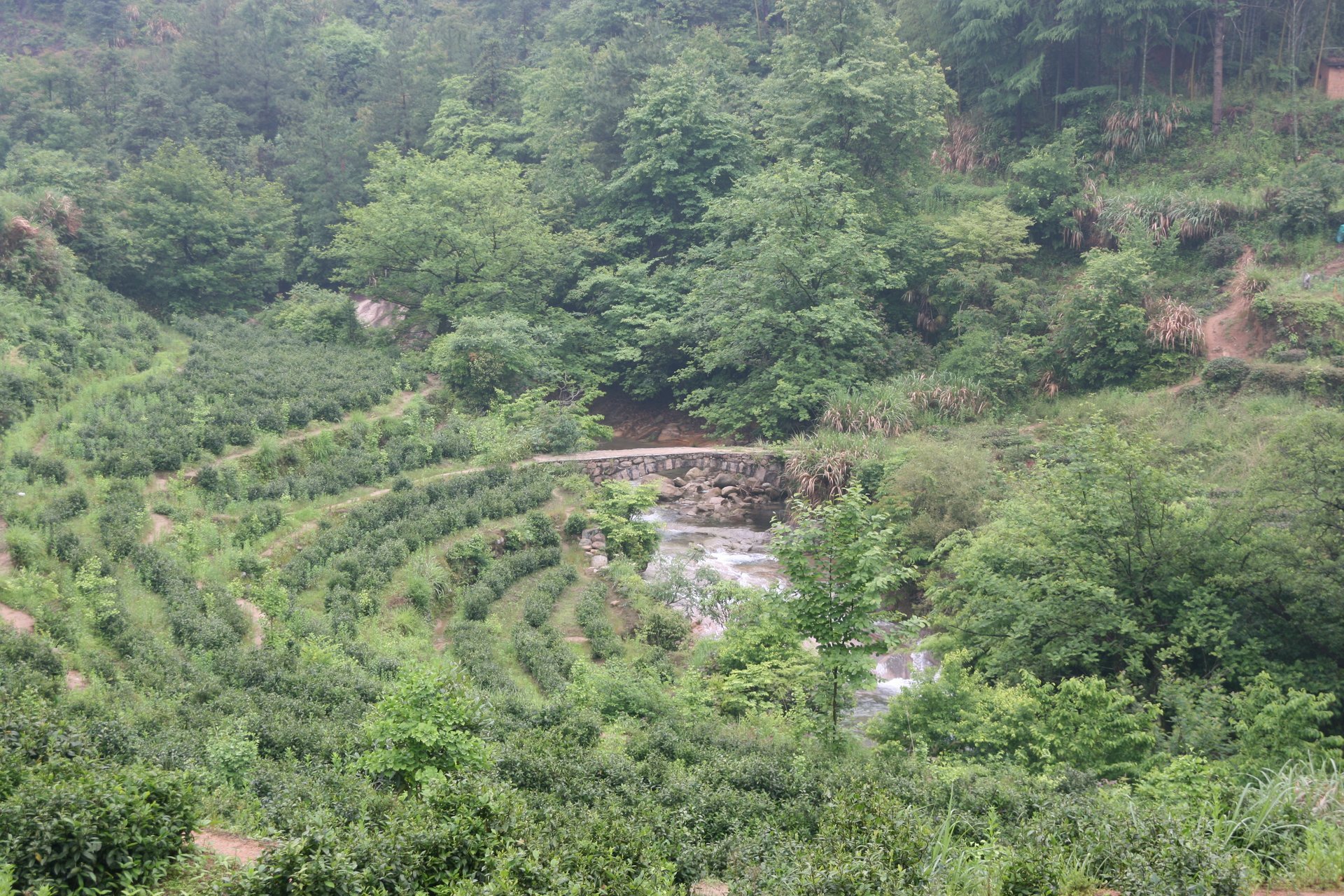 IMG_20140517_104054.jpg