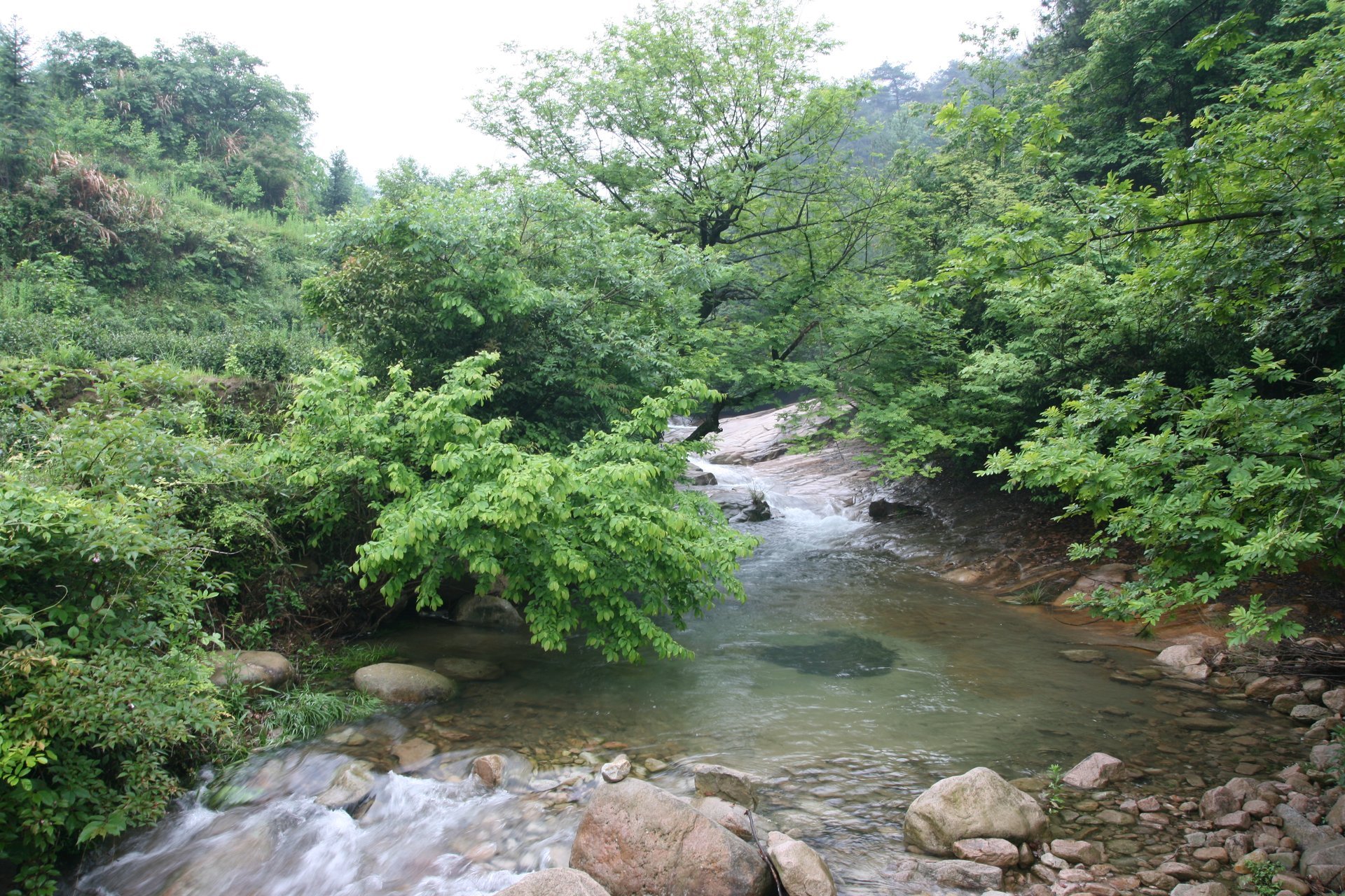 IMG_20140517_104429.jpg