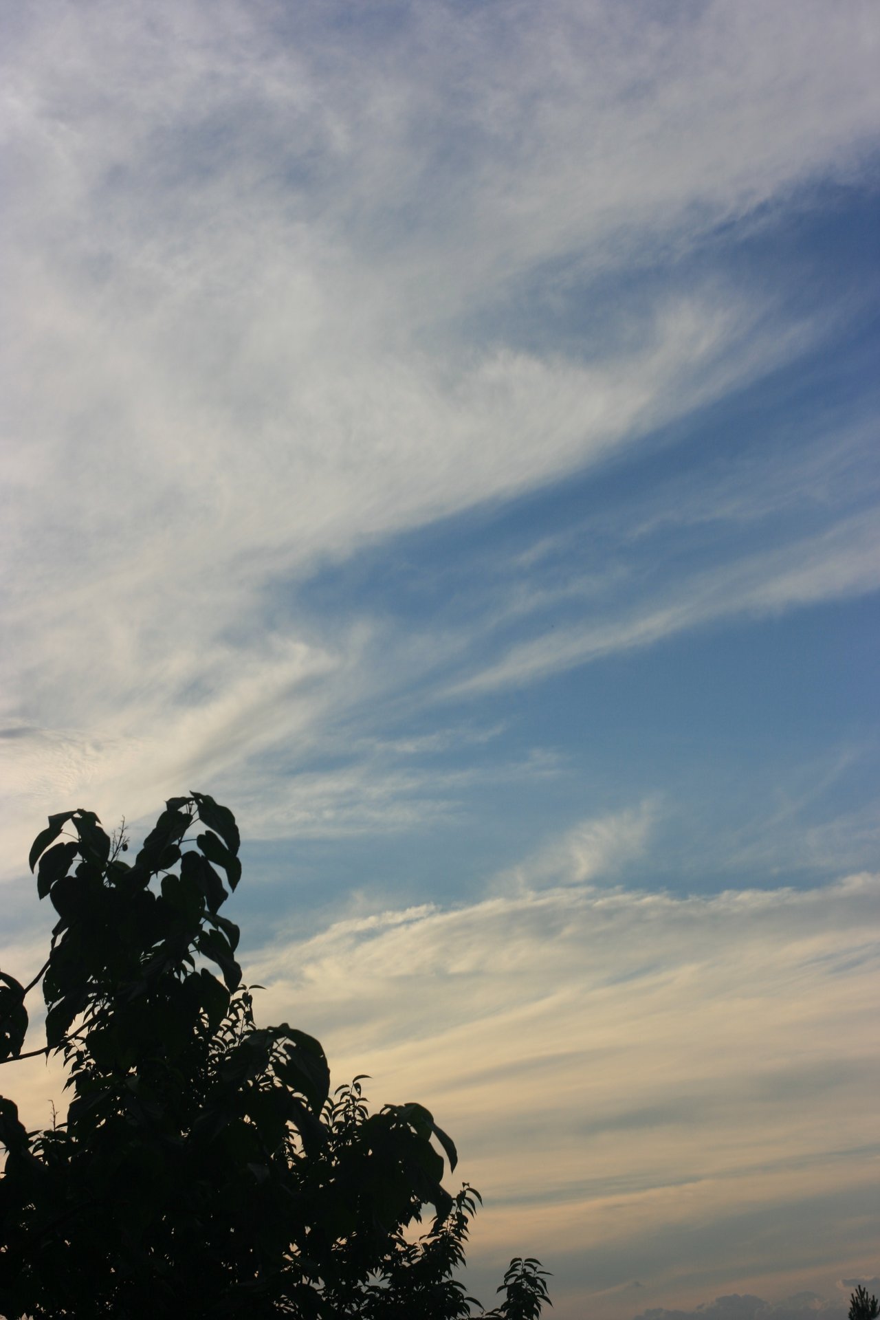 IMG_20140701_090000_009.jpg