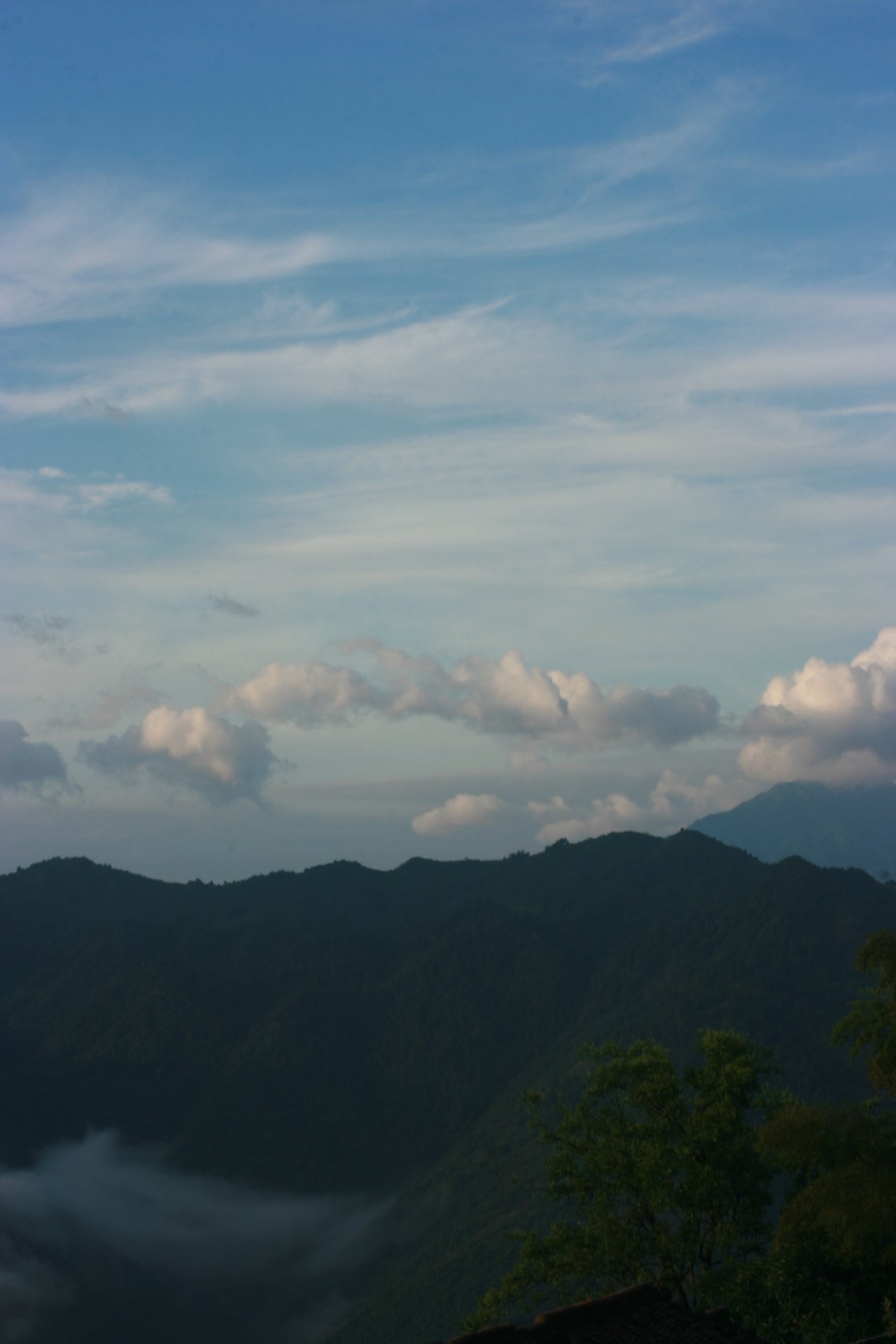 IMG_20140701_090000_014.jpg