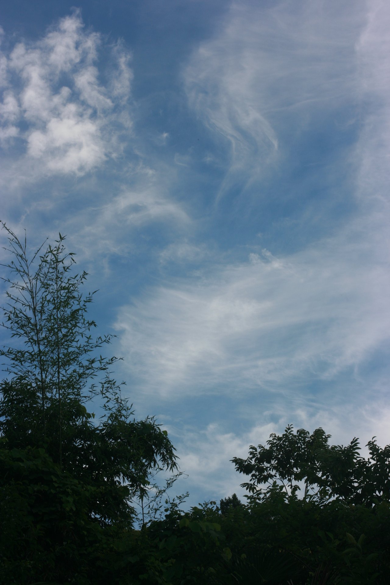 IMG_20140701_090000_015.jpg