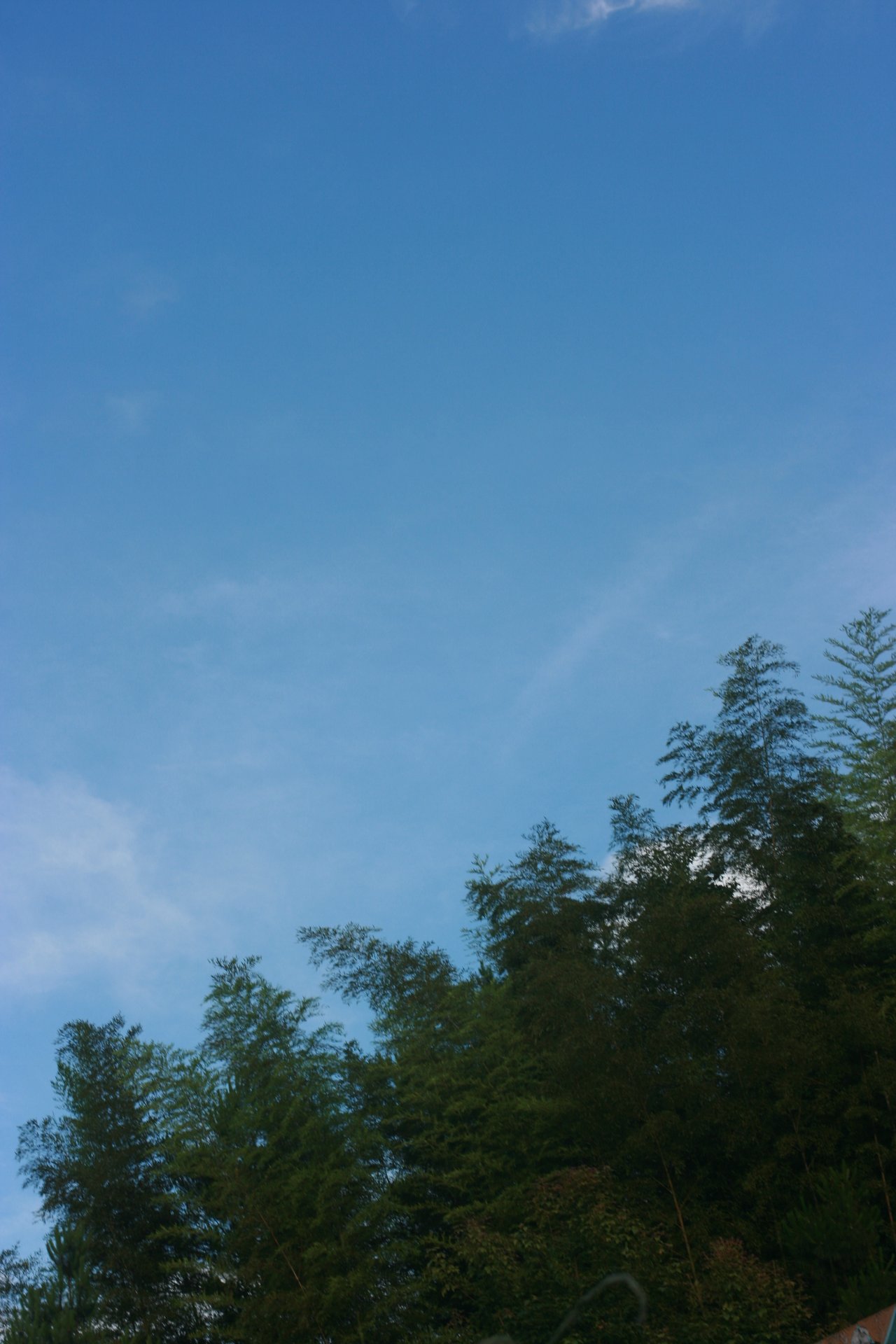 IMG_20140701_090000_016.jpg