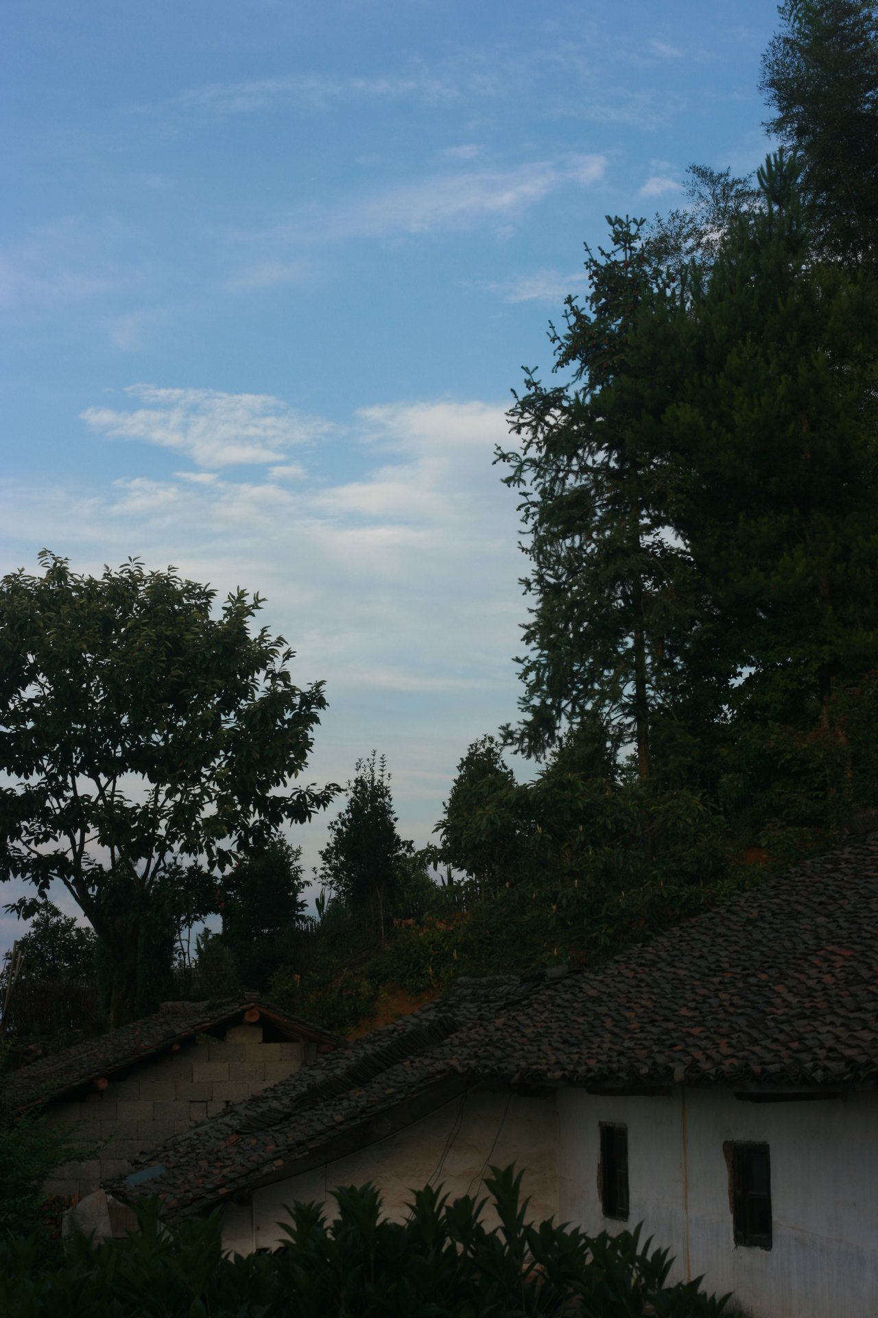 IMG_20140701_090000_017.jpg